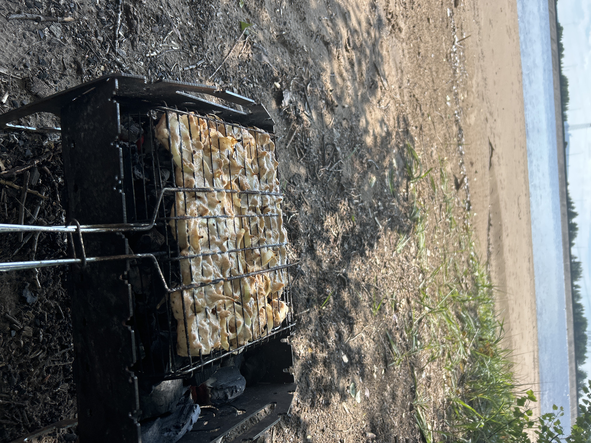 A close-up, overhead shot shows a portable metal grill filled with food, possibly chicken skewers, being cooked over hot coals. The grill sits on a sandy and twig-covered ground, with green grass growing in patches. In the background, a calm body of water stretches to the horizon, bordered by a line of trees. The scene suggests an outdoor activity, likely a picnic or camping trip, taking place in a natural setting near a body of water. The lighting indicates it's daytime, with the sun casting shadows on the sand. There is no visible text in the image.