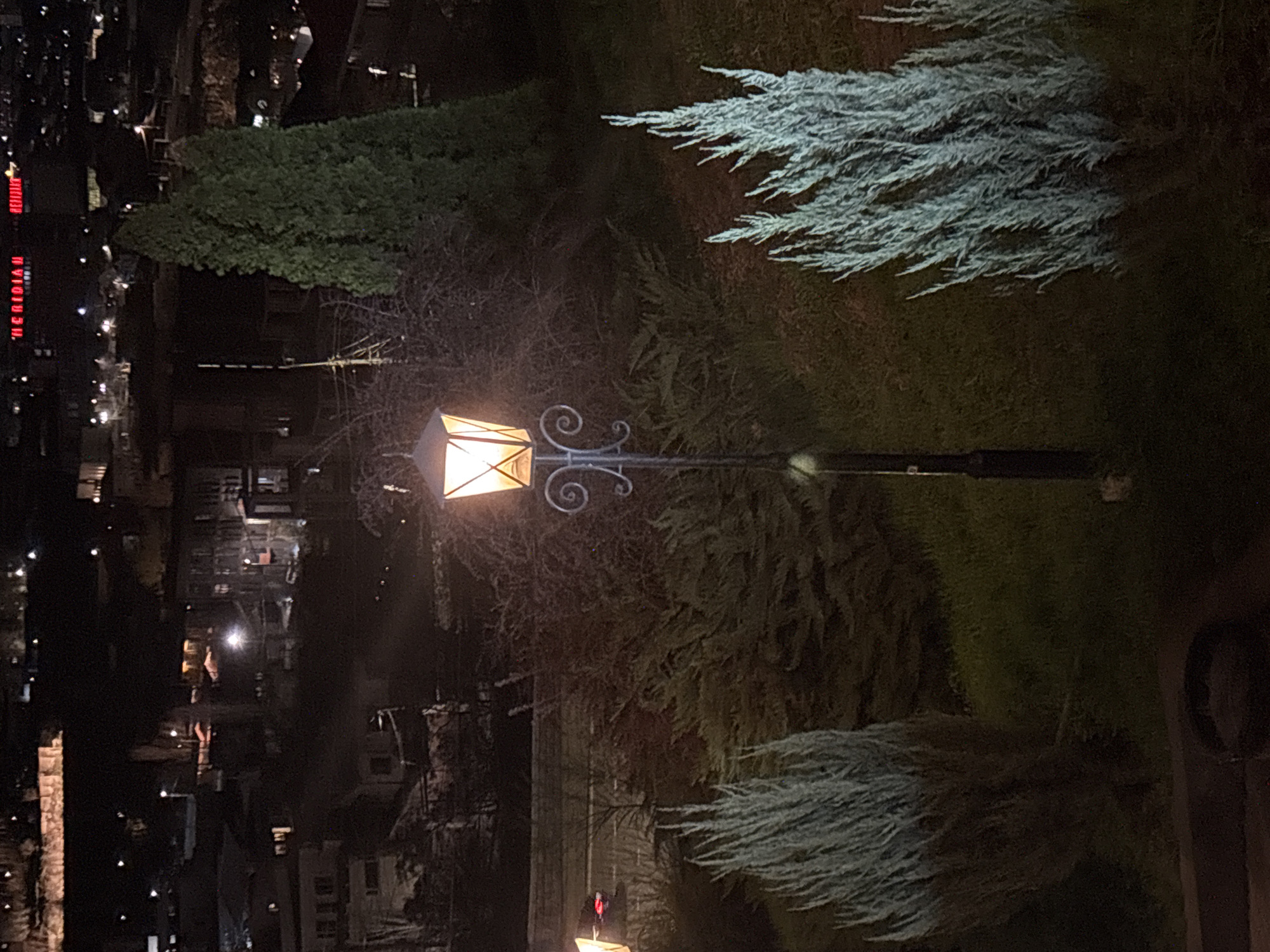 At night, the scene captures a vintage lamp post illuminating a section of Yerevan, Armenia. The lamp, with its distinctive old-fashioned design, casts a warm glow in its immediate surroundings. Verdant trees and greenery form a backdrop to the lamp post, adding a touch of nature to the urban setting. In the distant background, the city skyline is visible, with buildings lit up, the red MERIDIAN sign prominent. The atmosphere is dark, and quiet, highlighting the contrast between the artificial light of the lamp and the darkness of the night.
