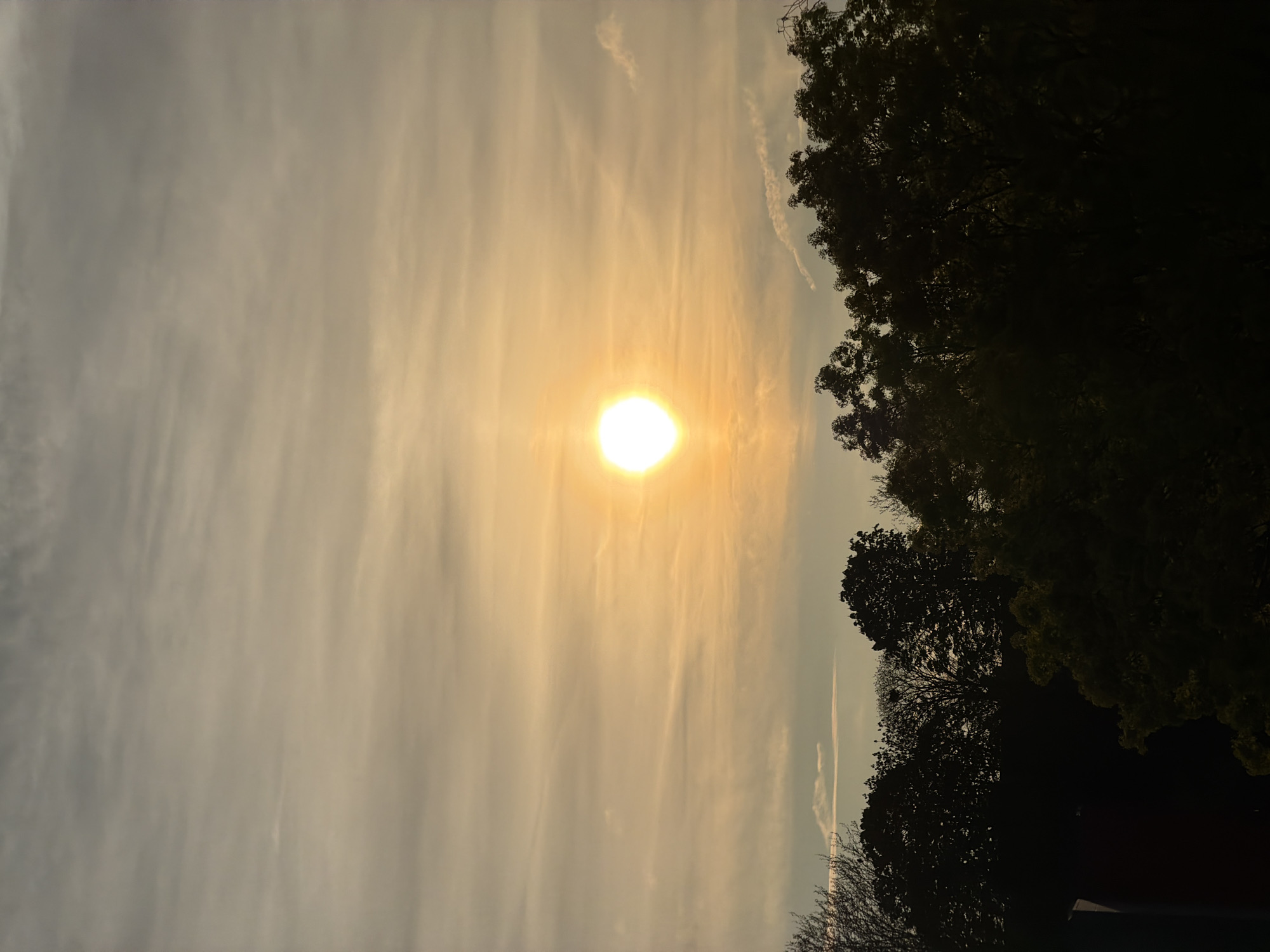 The image shows a bright sun in the sky, partially obscured by thin clouds. To the right of the sun, there are silhouetted tree branches and leaves. The sky is a pale yellow color with wispy clouds throughout. The photo seems to be taken at ground level. There is no evidence to suggest this image comes from Esch-sur-Alzette, Luxembourg. There are no people, actions or interactions present.