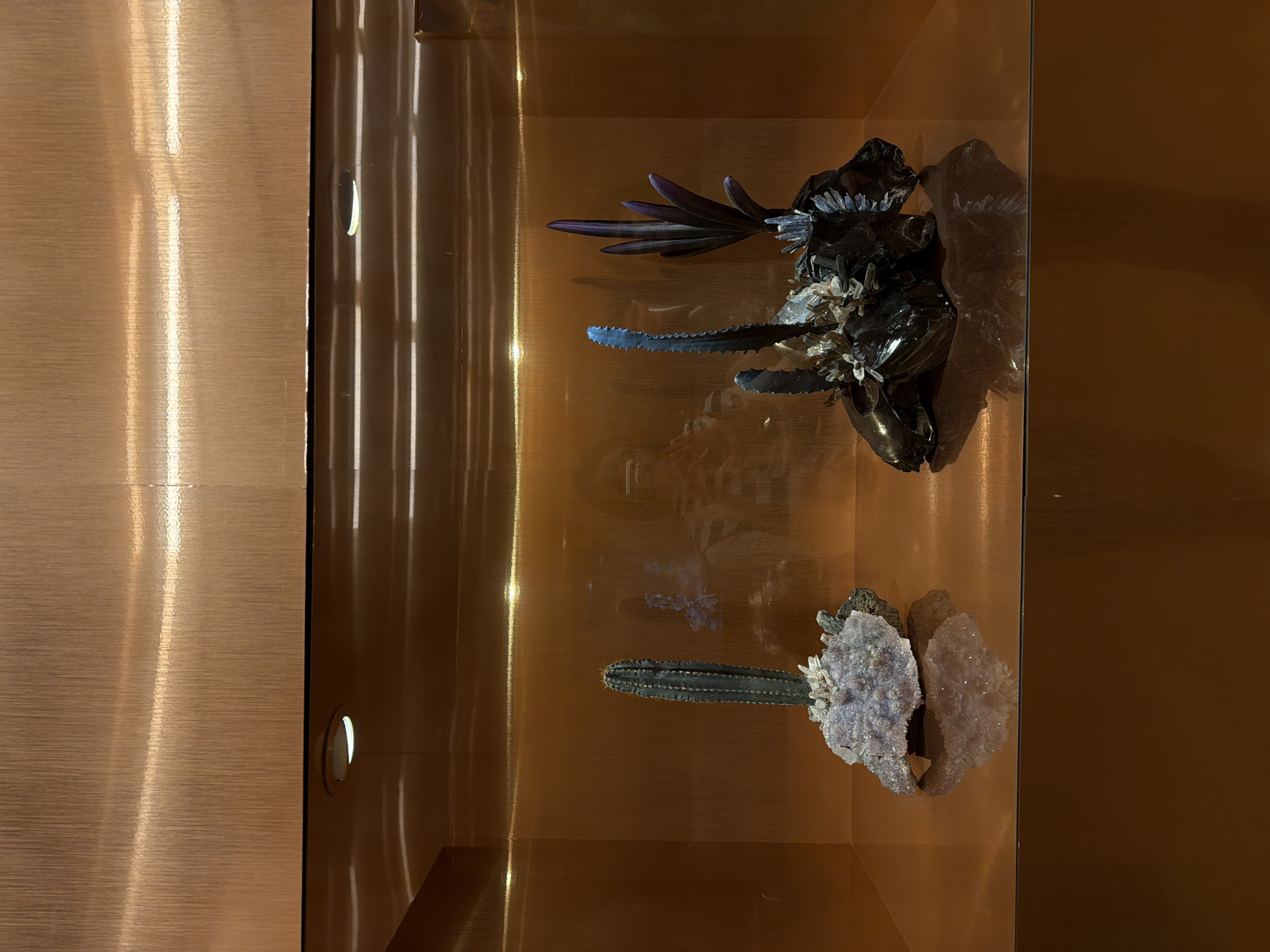 The image captures a display case, likely found in an Unknown location within the city of Unknown. The case is lined with reflective copper or bronze material. Inside, two arrangements are visible. The first, located in the upper half of the case, appears to be a dark, abstract sculpture with sharp edges, possibly made of metal or glass, and accented with crystal-like elements. Below it, in the lower half of the case, lies a cactus-like plant or object surrounded by white, crystallized material, suggesting a mineral arrangement. The angle of the shot and the reflections within the case make it difficult to discern specific details of the objects. The lighting is dim, accentuating the reflective properties of the surfaces inside the display case.