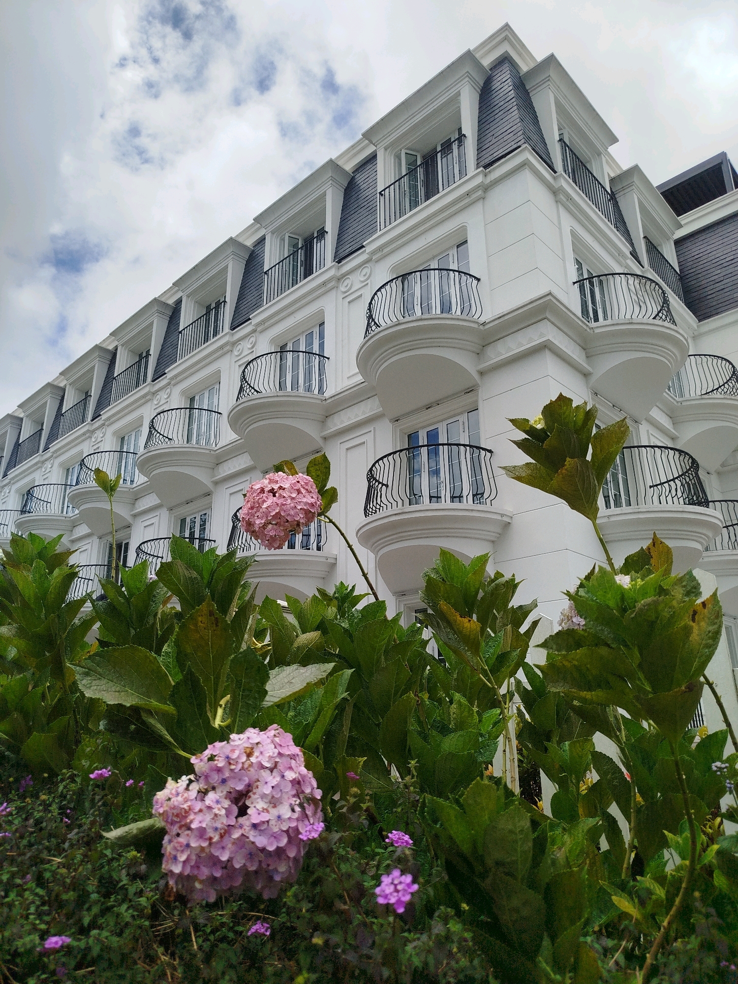 A low-angle, full shot captures the exterior of a grand, white, multi-story building with a mansard roof, likely a hotel or resort, in Da Lat, Vietnam. The architecture features repetitive balconies with black wrought-iron railings, dormer windows, and decorative molding. In the foreground, lush green foliage and clusters of pink and purple hydrangeas partially obscure the building. The sky is overcast with clouds. The scene is serene and evokes a sense of elegant European influence in a tropical setting.