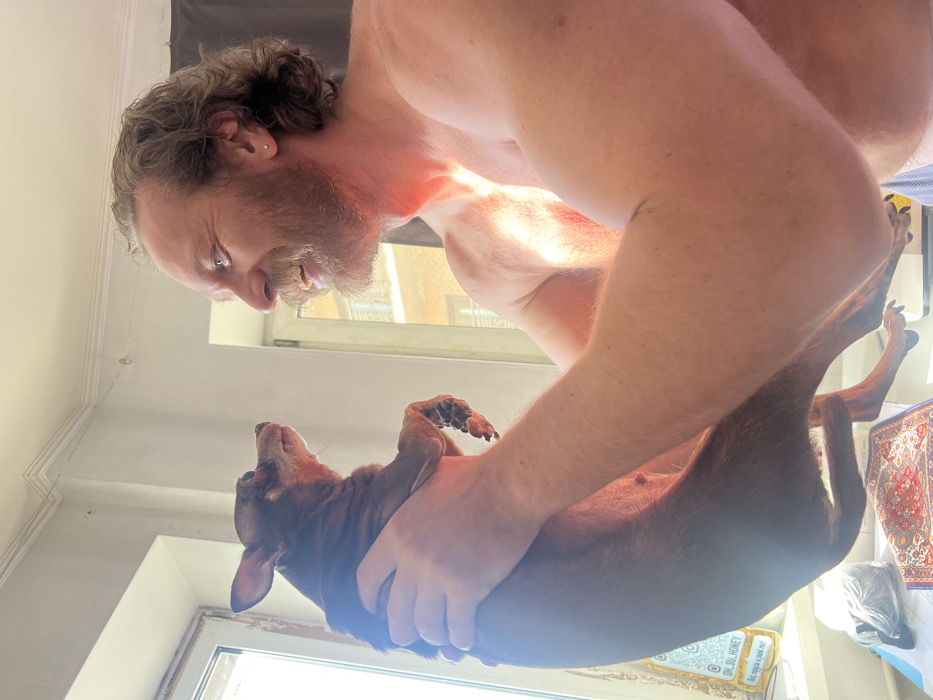 An indoor scene in a residential room depicts an adult male holding a small, dark brown dog. The man, with light skin, a muscular build, curly brown hair, a prominent mustache and beard, and a small stud earring in his left ear, is shirtless and smiling broadly while engaging with the dog. The dog, a short-haired, dark brown small breed with a lighter muzzle, is held upright by the man's hands, its front paws bent, looking towards the man's face.
Strong natural sunlight streams into the room from two windows in the background. The window on the left displays a partially visible sticker with the text "OIL.SU. HONEY" and "OH_SO_HONEY", with a white container situated below it. Through the window on the right, a light-colored, multi-story building with visible balconies, consistent with residential architecture commonly found in Saint Petersburg, Russia, is discernible. A small, patterned red rug is visible on a surface beneath the dog. The room features light-colored walls and ceiling molding. The man's lower body is partially visible, showing light blue and white striped fabric.