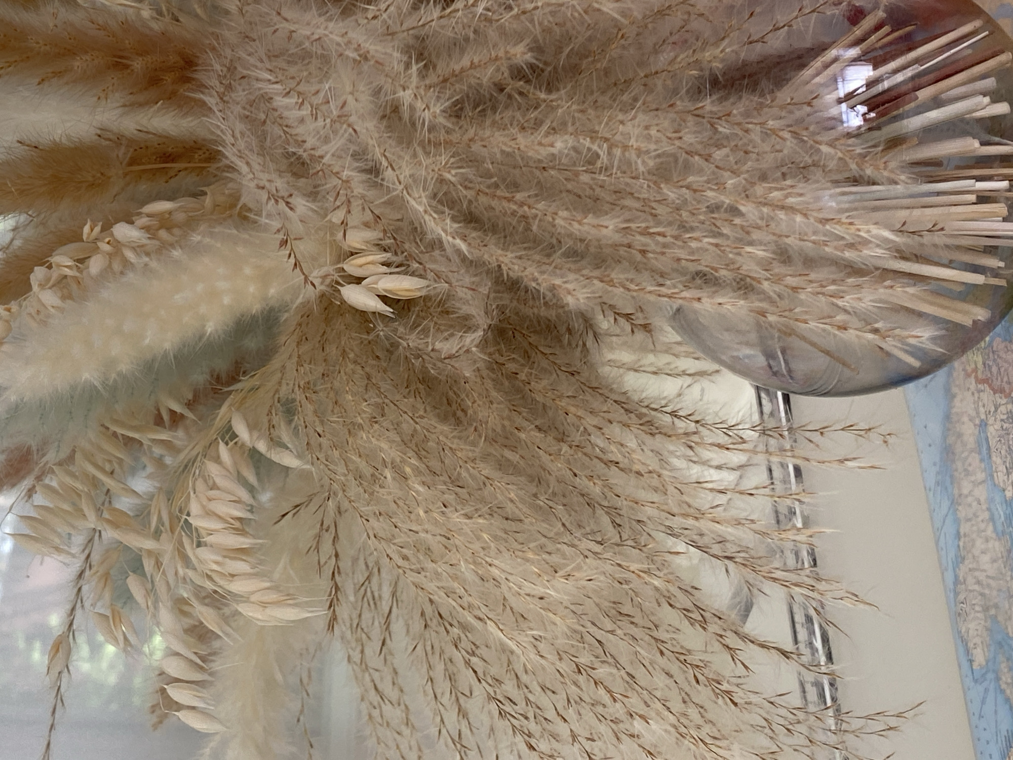 The image shows a close-up view of a bouquet of dried pampas grass and other dried floral elements. The colors are muted, with shades of beige, cream, and light brown dominating. The texture of the dried grasses is feathery and wispy. Some of the elements are long and plume-like, while others are more spiky and linear. A glass vase, partially visible at the bottom right, holds the arrangement. The vase is transparent and reflects some light, showing the stems of the dried plants inside. The background is softly blurred, suggesting it is out of focus, but hints of light and possibly greenery can be seen, indicating an indoor setting. There is a surface beneath the vase with a pattern that resembles a map, with blue and light-colored continents and oceans visible. The image does not depict any people or actions. The scene is static and focuses solely on the arrangement of dried botanicals. There is no information available in the image to determine the location in the city of Прикамский, Russia.