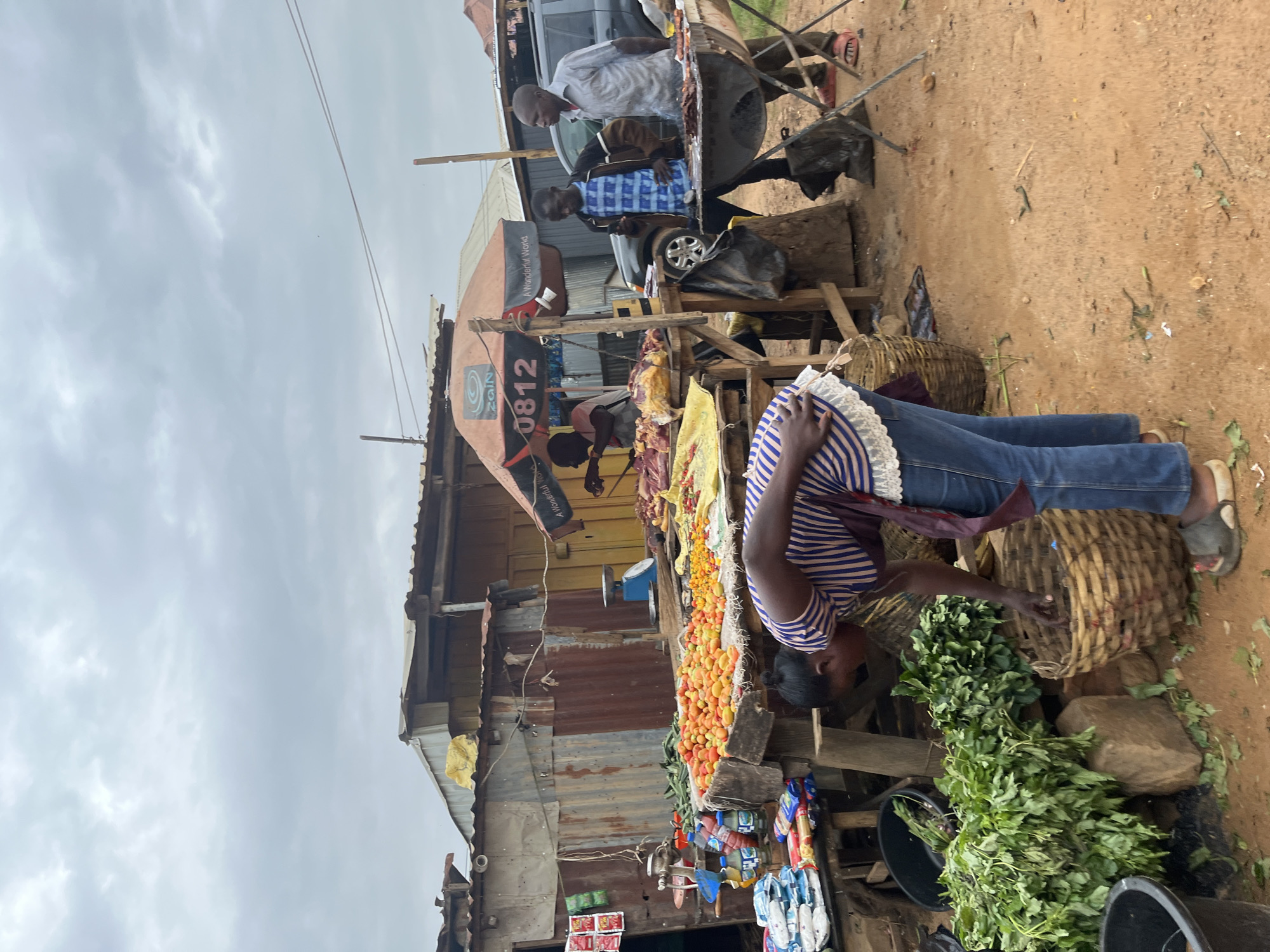 This is a medium shot of an outdoor market scene in Jos, Nigeria, under a cloudy sky. In the foreground, a woman wearing a blue and white striped shirt and blue jeans is bending over to pick something out of a woven basket. In front of her, there are large bunches of green leafy vegetables. To her right, a charcoal grill with meat on it is being tended by two men. One man, wearing a blue checkered shirt and brown jacket, is looking at his phone, while the other man, in a light blue shirt and dark pants, stands near the grill. Behind them, a variety of food items, including tomatoes and what appears to be meat, are displayed on wooden tables. Various stalls and structures made of corrugated metal and wood are visible in the background, along with a parked dark-colored SUV. The ground is a reddish-brown dirt.