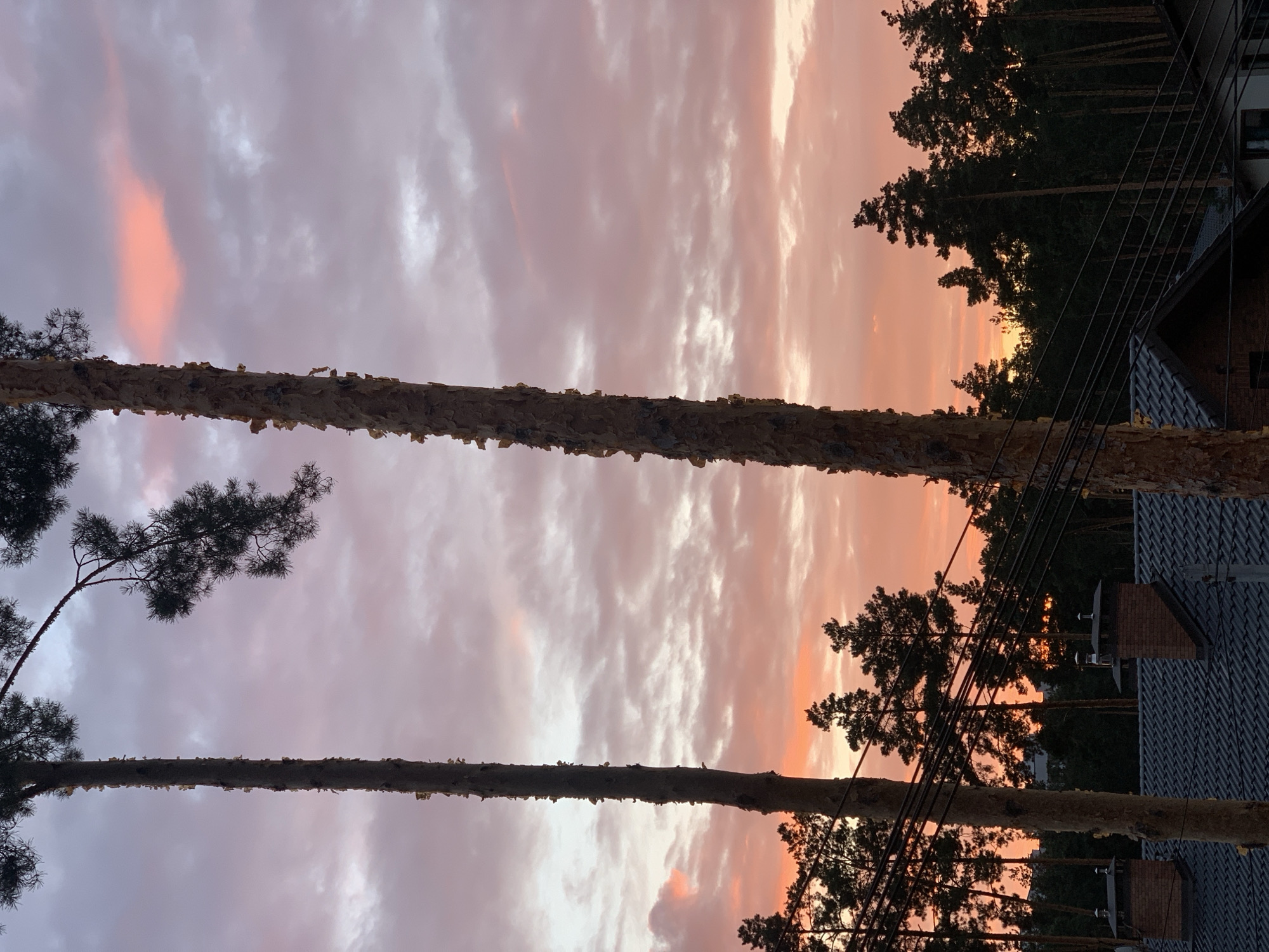 The image depicts a sunset over the city of Hostomel, Ukraine. In the foreground, two tall pine trees dominate the frame, their trunks textured and bearing peeling bark. Their branches, dark and needle-laden, reach towards the sky, with one branch extending diagonally across the upper portion of the image.
Behind the trees, a dense line of evergreen trees forms a dark silhouette against the vibrant sky. The sky itself is a spectacle of color, with hues of orange and pink bleeding into soft purples and grays as clouds drift across the horizon. Some clouds are illuminated with a warm, rosy glow, while others remain a muted gray.
In the lower section of the image, the rooftops of houses are visible, characterized by dark, tiled surfaces and prominent brick chimneys. Power lines are strung between poles, crisscrossing the scene and adding a utilitarian element to the natural beauty. The overall impression is one of a tranquil evening in a semi-urban environment, where nature and human habitation coexist.