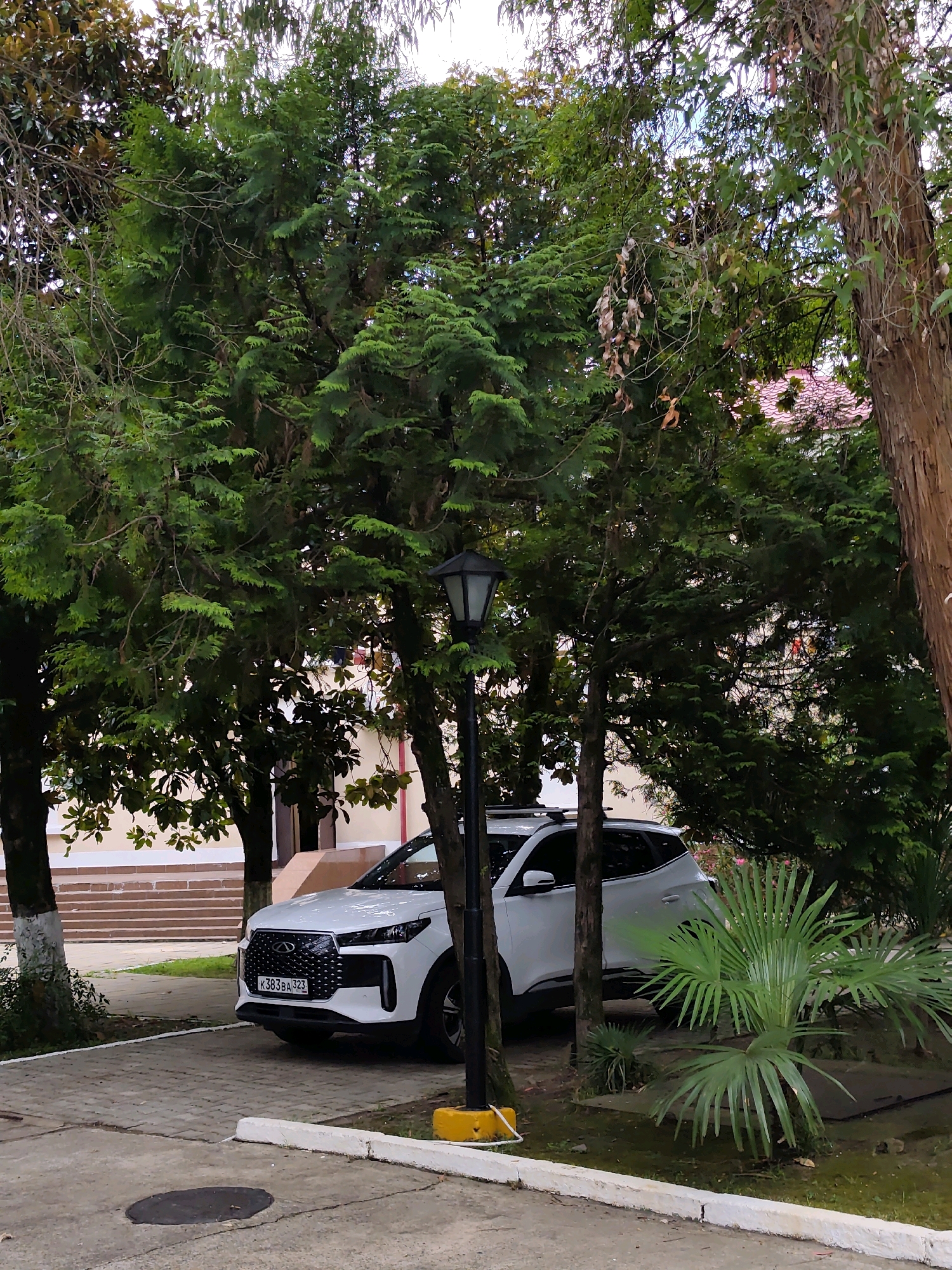 A white Chery Tiggo 7 Pro is parked on a paved area near a building with a light-colored facade and brown steps. The car is positioned in front of a lush green area with several trees and a street lamp. The license plate is visible, reading "K383BA 323". The surrounding environment is tropical, with palm trees and dense foliage. The building appears to be an institutional or residential structure. The scene suggests a public space within a city, possibly a park or a courtyard.