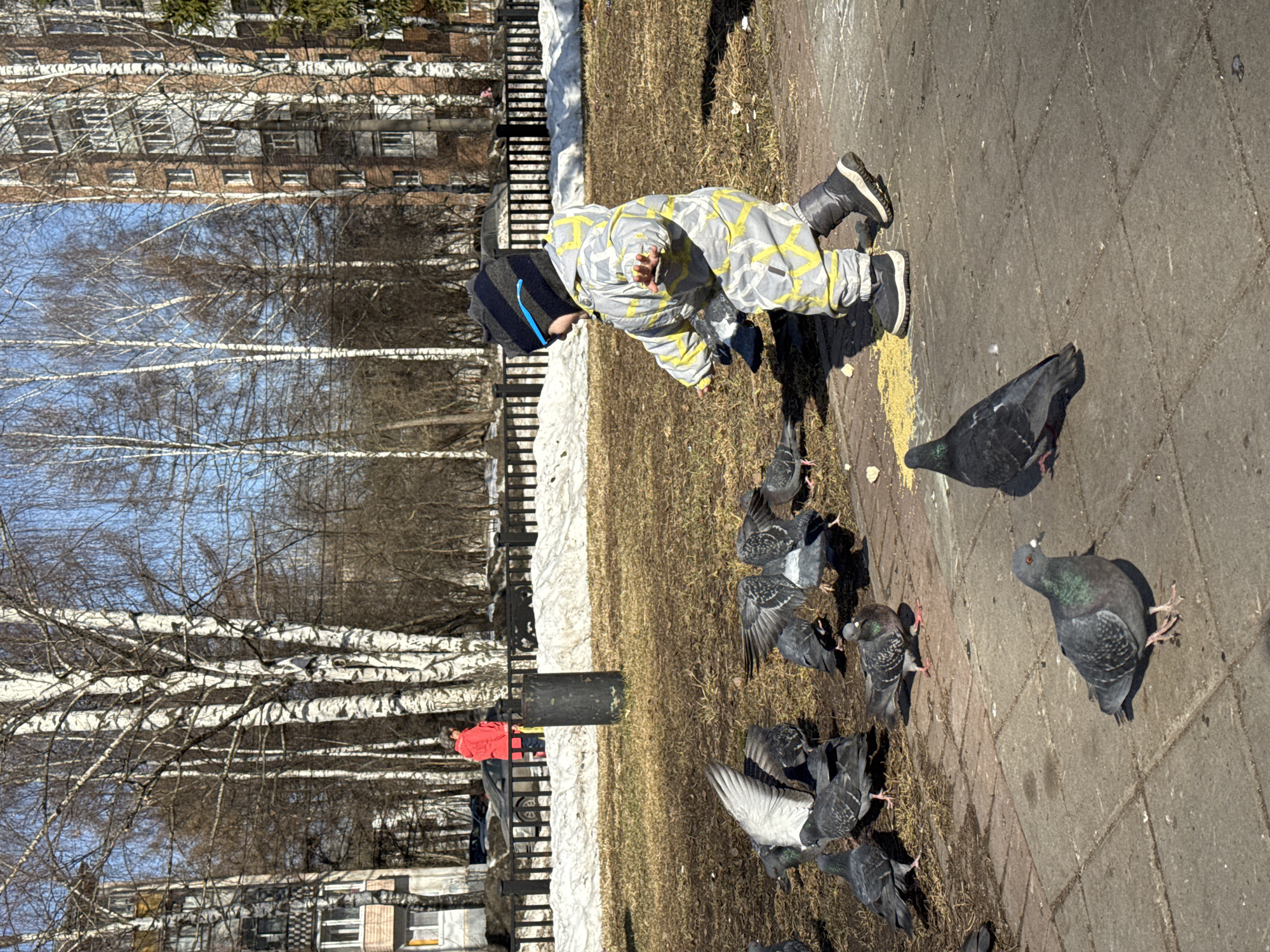 A child in a gray and yellow jumpsuit and a black hat is interacting with a flock of pigeons in a city park setting in Izhevsk, Russia. The ground is a mix of paved areas with visible brick-like patterns, dry grass, and patches of melting snow. The child is near some scattered yellow seeds, presumably for the birds. The pigeons are various shades of gray and black, some with wings outstretched. In the background, there are bare trees, a black metal fence, a trash bin, and a multi-story brick building, all common architectural elements of the region. A person in a red jacket is seen behind the fence. The scene appears to be in early spring, given the melting snow and bare trees. The photo is taken during the daytime under a clear sky.
