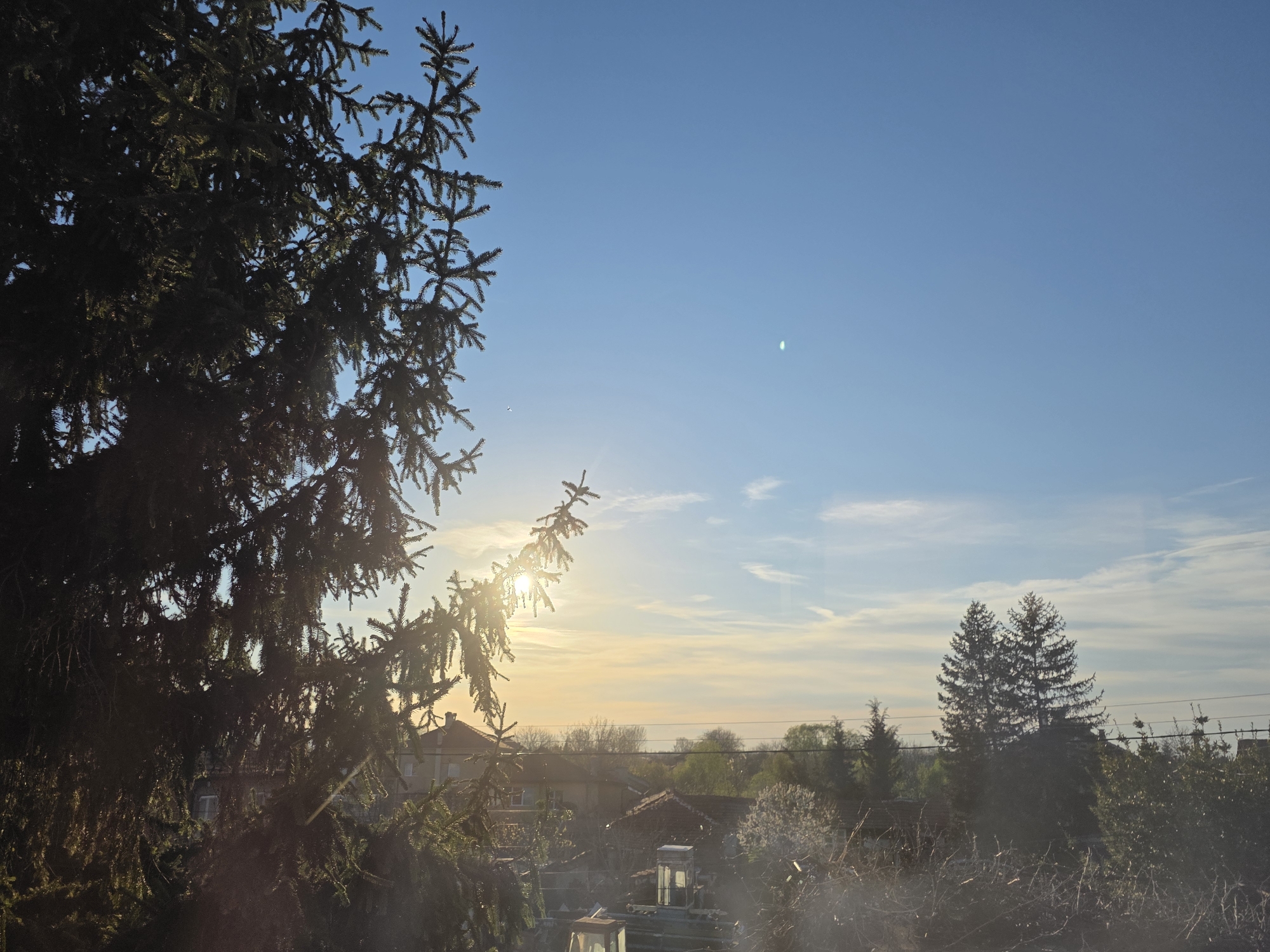 The image shows a view from a window in Yagodovo, Bulgaria. A large evergreen tree is in the left foreground, obscuring some of the view. The sun is visible through the branches, positioned just above the rooftops of nearby houses. In the distance, more trees and some buildings are visible, with a clear blue sky above, lightly streaked with clouds. The scene appears to be at dawn or dusk.