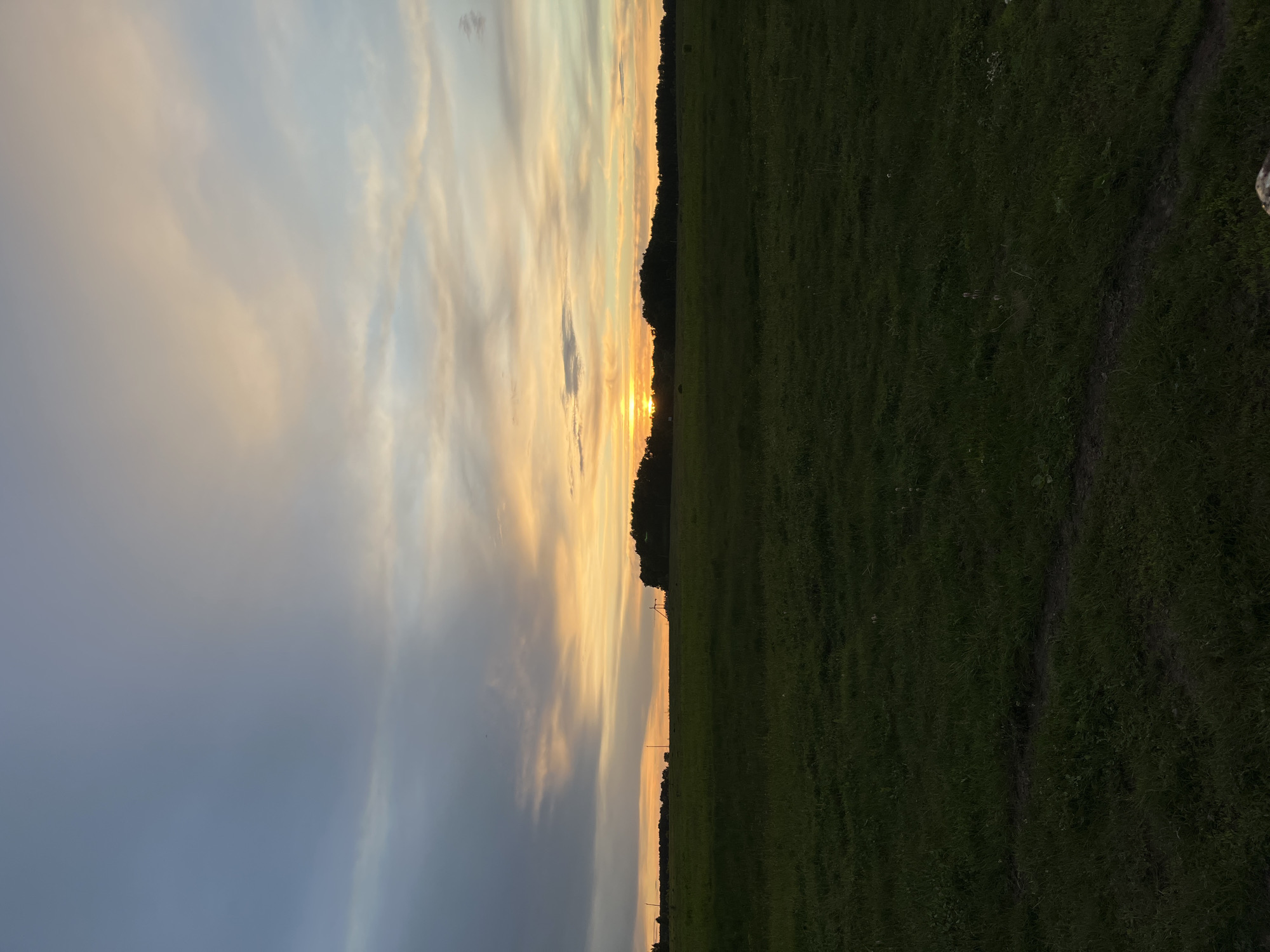 The image depicts a landscape at dusk. The scene is divided vertically, with a field of green grass on the right and a sky filled with clouds on the left. The sun is setting, creating a warm, golden glow in the center of the sky. A line of trees is visible on the horizon between the field and the sky. The field appears to have a path running through it. The location is Новочувашский, Russia. There are no people visible in the image.