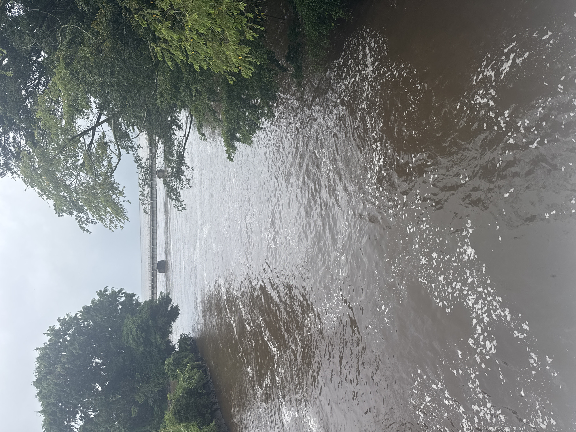 The image depicts a wide, muddy river flowing towards a bridge in the distance. The riverbanks are heavily vegetated with lush green trees, some of which overhang the water. The sky is overcast and a light grey. The river is choppy, with white foam visible on the surface, suggesting a strong current or recent rainfall. The bridge appears to be made of concrete and steel, with multiple spans. There are no visible people or vehicles on the bridge or in the immediate vicinity. The scene conveys a sense of natural beauty with a hint of ruggedness, possibly indicating a remote or less developed area. This scene is likely located in Hilo, Hawaii, given the abundant tropical vegetation and the presence of a bridge over a river, consistent with the landscape of the region.
