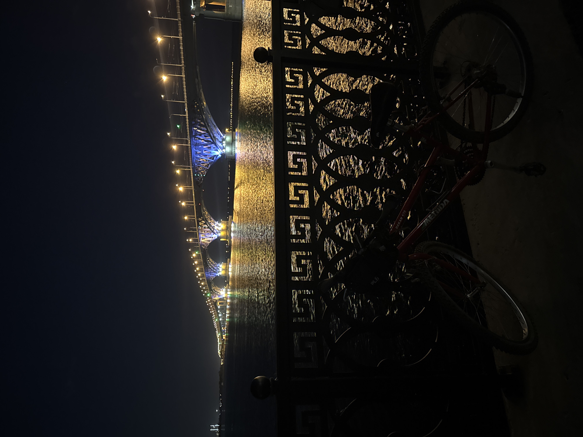 At night, a bicycle leans against an ornate fence with a river and illuminated bridge in the background. The bridge is decorated with lights, mostly yellow and some blue. The river reflects these lights. The bicycle is red and appears to be a mountain bike, based on its tires. The fence has a repetitive geometric pattern with open spaces. Based on visual cues such as the bridge design and architecture, the location may be Saratov, Russia.