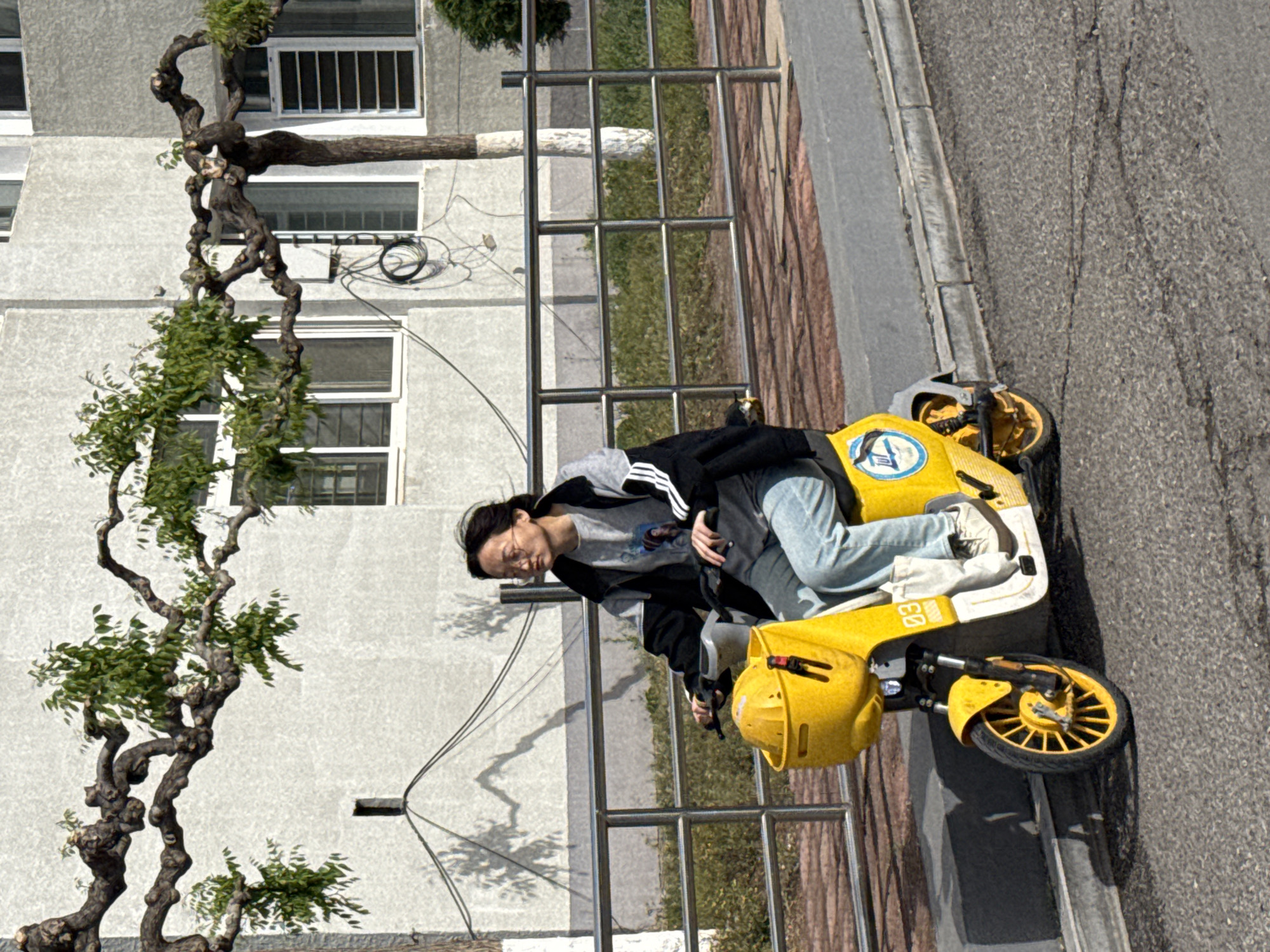 A person is riding a yellow three-wheeled vehicle along a paved street in Zhongtun, China. The individual is wearing a black jacket over a gray shirt with jeans, and glasses. To the left of the road is a gray building with windows that have metal bars. A decorative tree with many branches stands in front of the building. A metal railing runs along the edge of the sidewalk.