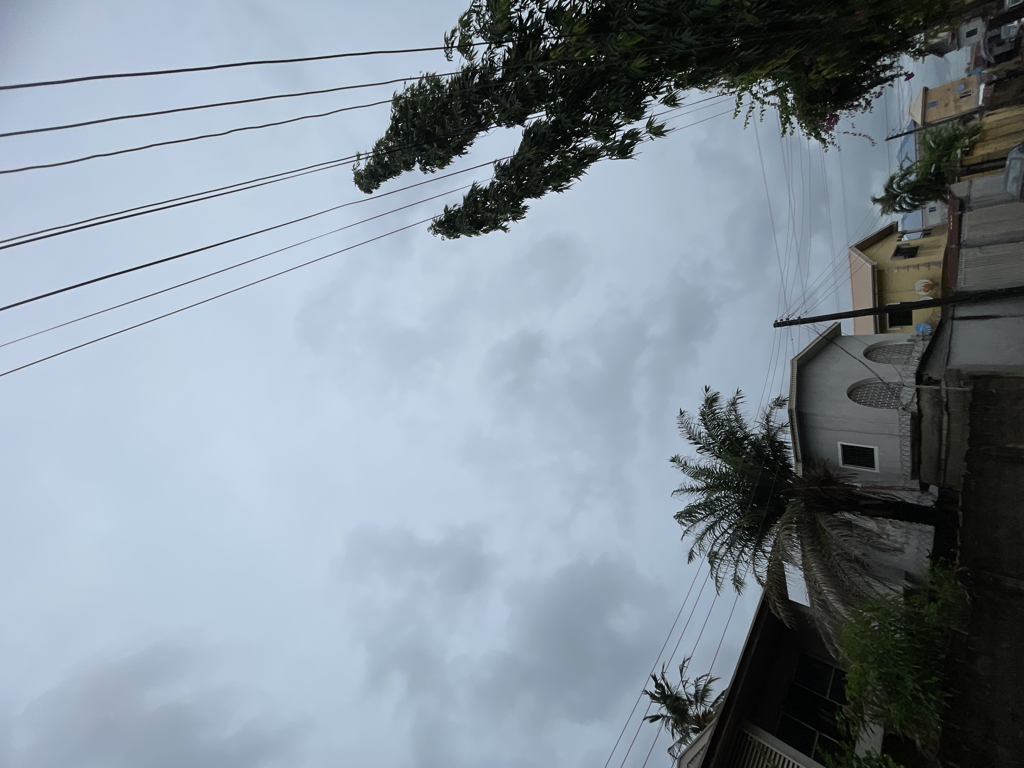 This image captures a static, slightly rotated view of an urban or residential area under an overcast sky. The sky is predominantly gray with numerous heavy clouds, suggesting a cloudy day or impending rain.
Multiple dark power lines crisscross the upper left and central parts of the frame, running diagonally across the cloudy sky. Towards the upper left, a dense mass of dark green foliage, possibly from several trees, is visible, partially intertwined with some of the power lines.
On the right side of the image, several buildings are visible. A prominent light gray or white building occupies the mid-right, featuring an arched window with a gridded pattern and a rectangular window below it. Behind this building and slightly to its upper right, part of a yellow building with a dark roof and some window openings can be seen. Other rooftops and structures are visible in the background, suggesting a clustered residential or urban environment. A large palm tree with numerous fronds stands tall near the gray building, its dark trunk and foliage creating a strong vertical element on the right. Another, smaller palm tree is partially visible lower down on the right.
The overall impression is that of a quiet, everyday scene in a tropical or subtropical region, consistent with Ado, Nigeria, as indicated by the location context. There are no people visible, and no specific activity is taking place. The time of day appears to be daytime, though the heavy cloud cover creates dim, soft lighting. No visible text is present in the image.