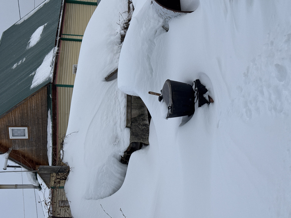 This image depicts a deeply snow-covered outdoor scene in Probuzhdenie, Russia, during winter. The background features a two-story house: the upper level is clad in light brown wooden siding with one visible white-framed window, while the lower level features lighter-colored horizontal siding with dark green trim and a smaller, partially obscured window. The house is topped by a steeply pitched dark green corrugated metal roof, with patches of snow and several icicles hanging from the eaves. A chain-link or wire fence is partially visible on the far left, mostly covered by snowdrifts.
The foreground and midground are dominated by extensive, untouched white snow, forming deep, undulating drifts that obscure the underlying ground and structures. In the central foreground, a dark, lidded pot or bucket, possibly cast iron, is positioned on a partially buried, multi-legged dark metal stand. A wooden-handled utensil, appearing to be a ladle or spoon, protrudes vertically from the pot's lid. To the immediate right of the pot, a large, dark, cylindrical object, consistent with a section of pipe, lies partially buried in the snow. Faint footprints are visible in the fresh snow in the lower-left foreground, indicating recent passage. No people are present in the scene.