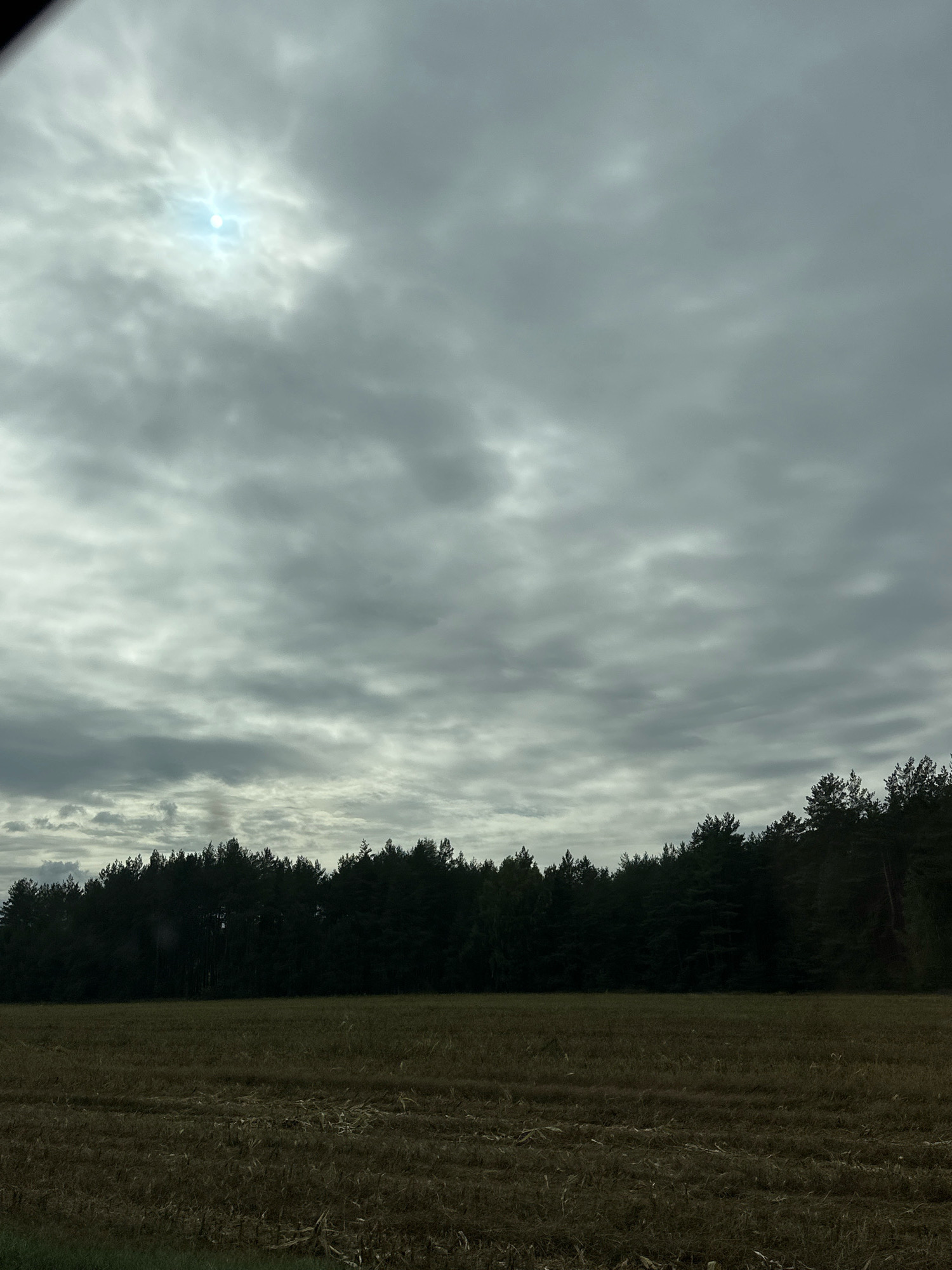 The image depicts a landscape in Krasnaŭski Selski Savec, Belarus, under a heavily overcast sky. In the upper left quadrant, a faint, bright orb, possibly the sun, is visible through a break in the clouds, casting a diffused light. The sky is filled with textured gray clouds. A dense line of dark green coniferous trees forms the horizon, separating the sky from the foreground. The foreground consists of a field with stubble, suggesting it has been recently harvested, with some residual straw or dried plant matter visible. The overall atmosphere is subdued due to the cloudy conditions. There are no people or animals visible in the scene.