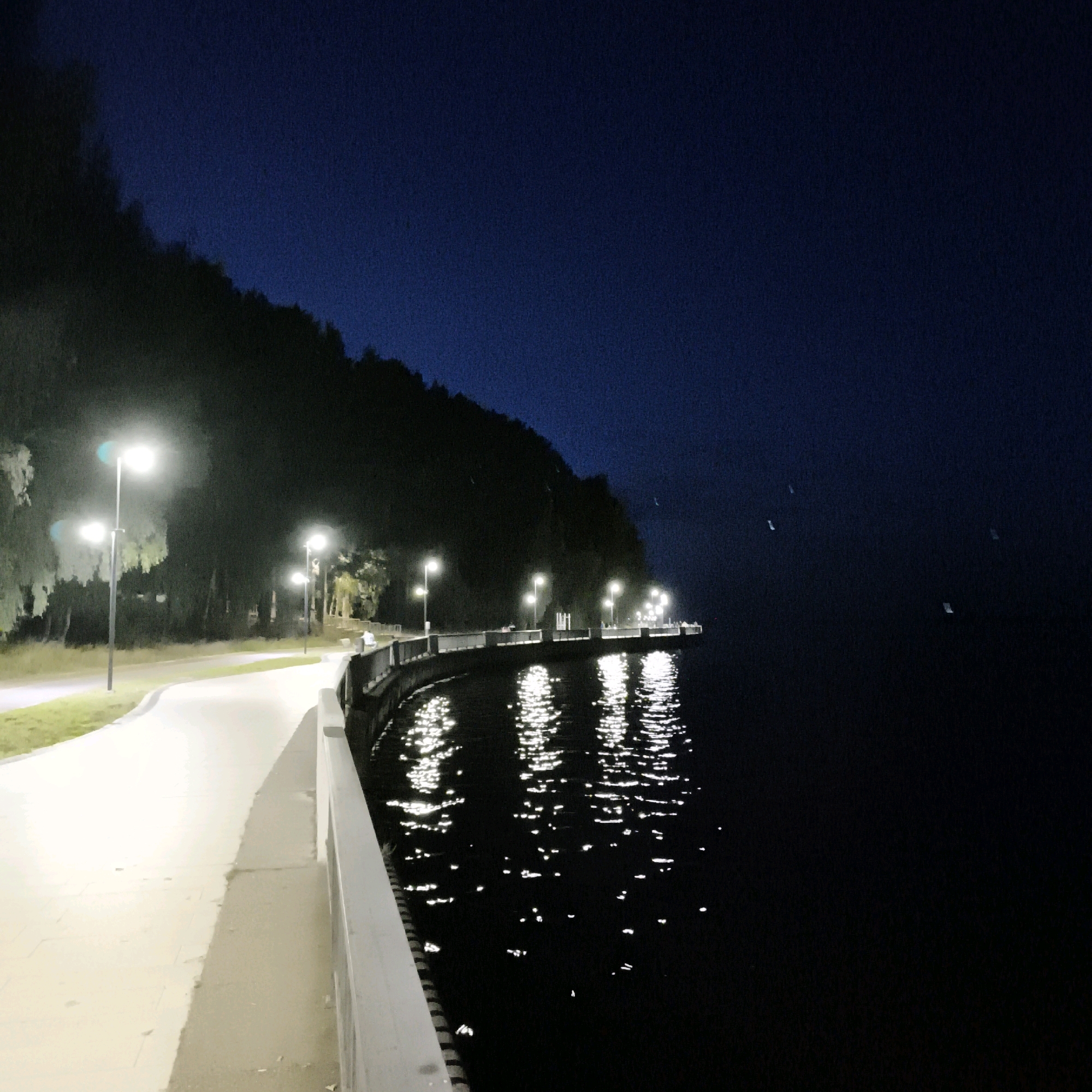 The image depicts a nighttime view of the embankment in Chaikovsky, Russia, along the Kama River. A paved walkway, illuminated by streetlights, curves along the left side of the frame, bordered by grass and trees. A white railing separates the walkway from the dark water of the river on the right. The lights from the walkway are reflected on the surface of the water, creating shimmering patterns. In the distance, a hill covered with trees is silhouetted against the dark blue night sky. A few small, light-colored objects, possibly buoys or distant lights, are visible in the water. The scene is quiet and serene, suggesting a peaceful evening stroll.