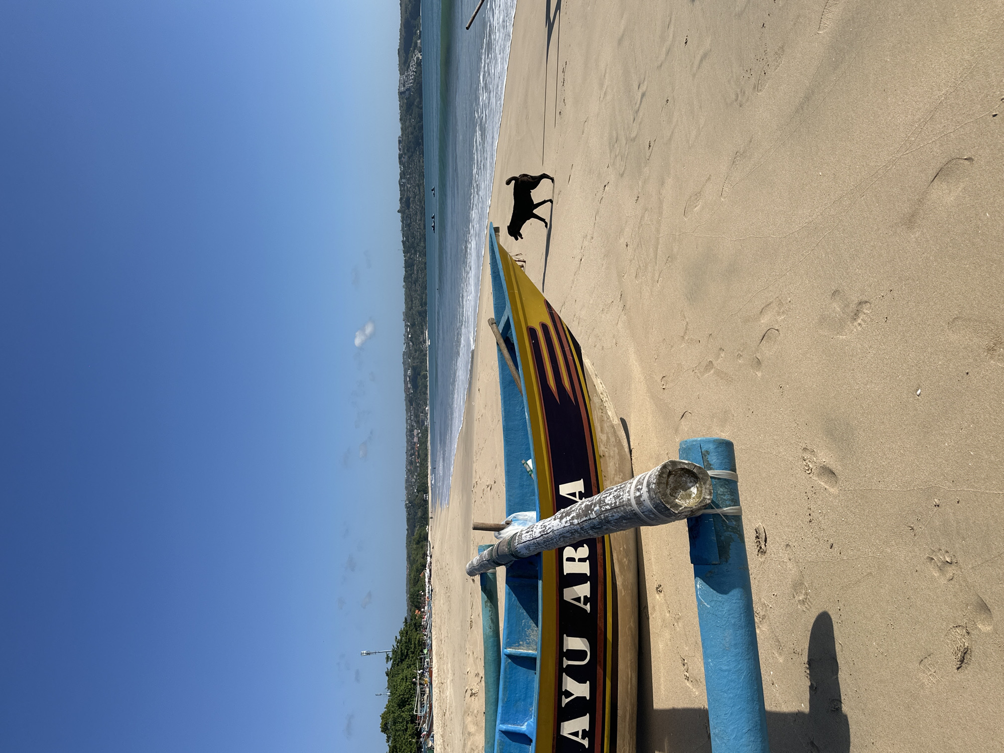 This is a vertical, eye-level, full-shot photograph taken at Kuta Beach, Bali, Indonesia. The image features a traditional Balinese jukung boat in the foreground, with its blue and yellow hull and red and yellow striped sides prominently displayed on the sandy beach. The name "AYU ARIA" is visible in white lettering on the side of the boat. A weathered wooden pole, wrapped with white tape, extends across the front of the boat. A black dog walks on the sand in the mid-ground, facing left with its tail raised. The ocean, with gentle waves and white foam, stretches across the background, meeting a clear blue sky with a few wispy clouds. In the distance, the coastline is lined with trees and buildings, and there are a few small boats and surfers in the water. The sand shows numerous footprints and tracks.