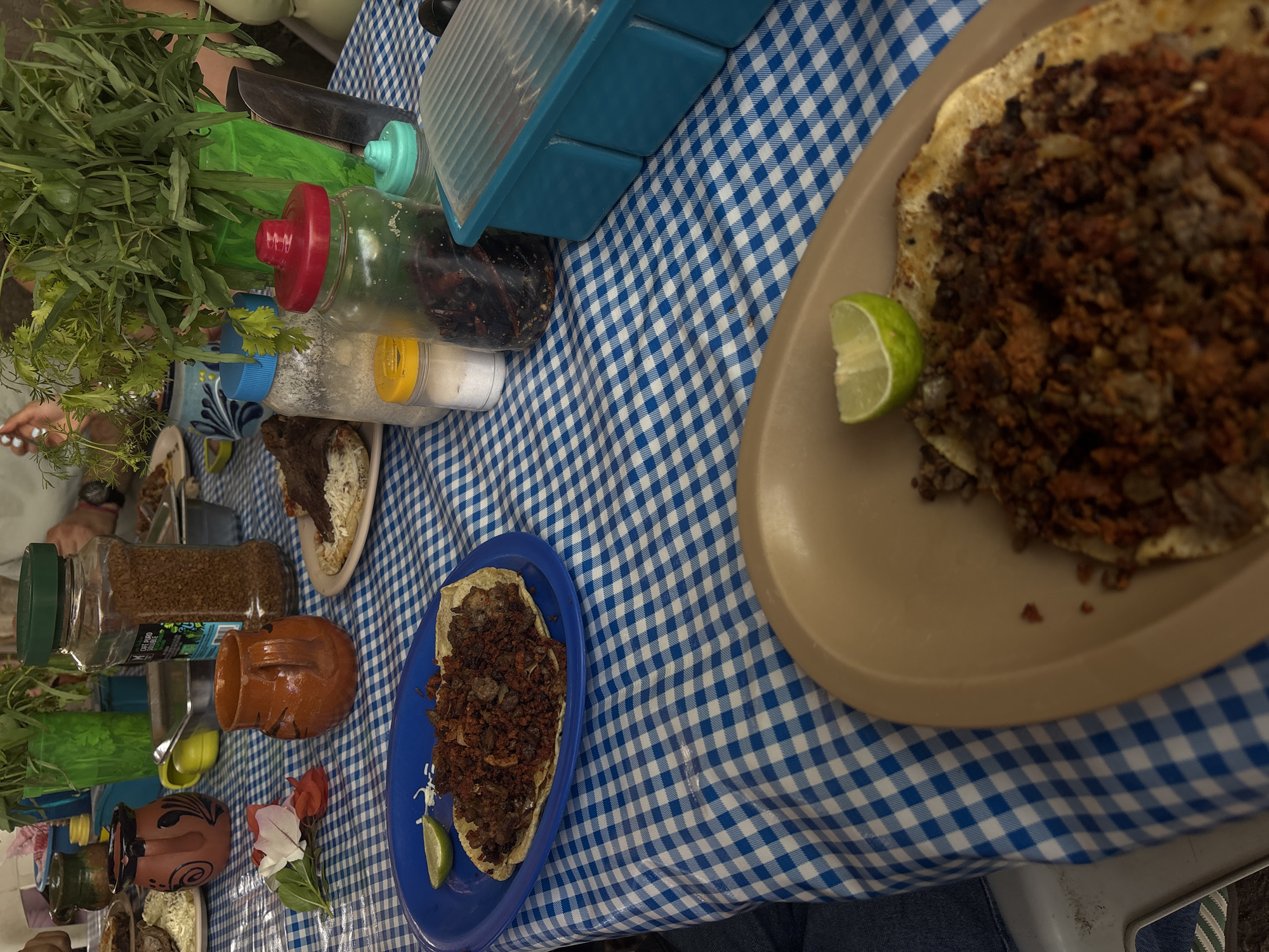 The image captures a casual dining scene, likely outdoors, set on a table covered with a blue and white checkered tablecloth. Visible on the table are various dishes of food, including what appears to be Mexican tacos or tostadas, some with lime wedges. There are also condiments, including a jar filled with spices and a container with a red lid, possibly containing sauces or chili peppers. The environment suggests a vibrant culinary experience, typical of Chilpancingo, Mexico, where street food and communal dining are prevalent.