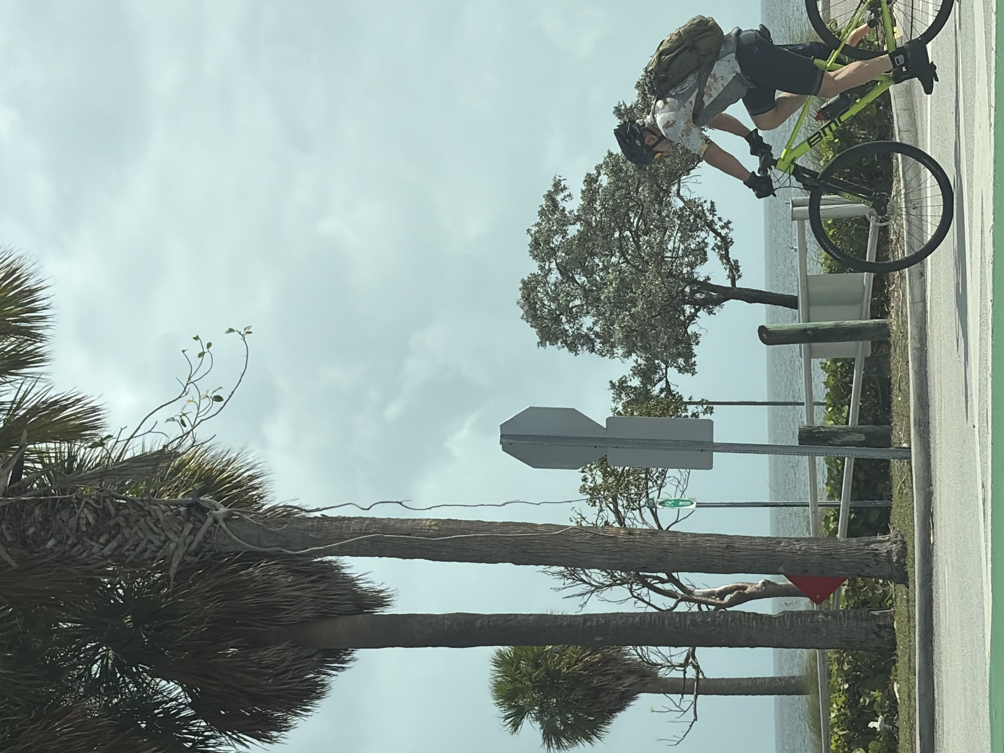 The image depicts a cyclist riding on a paved path alongside a body of water, likely the bay in Miami, Florida, United States. The cyclist is wearing a helmet, backpack, and gloves, and is riding a light green BMC bicycle. The path is bordered by palm trees and other foliage. A sign is visible. The sky is overcast.