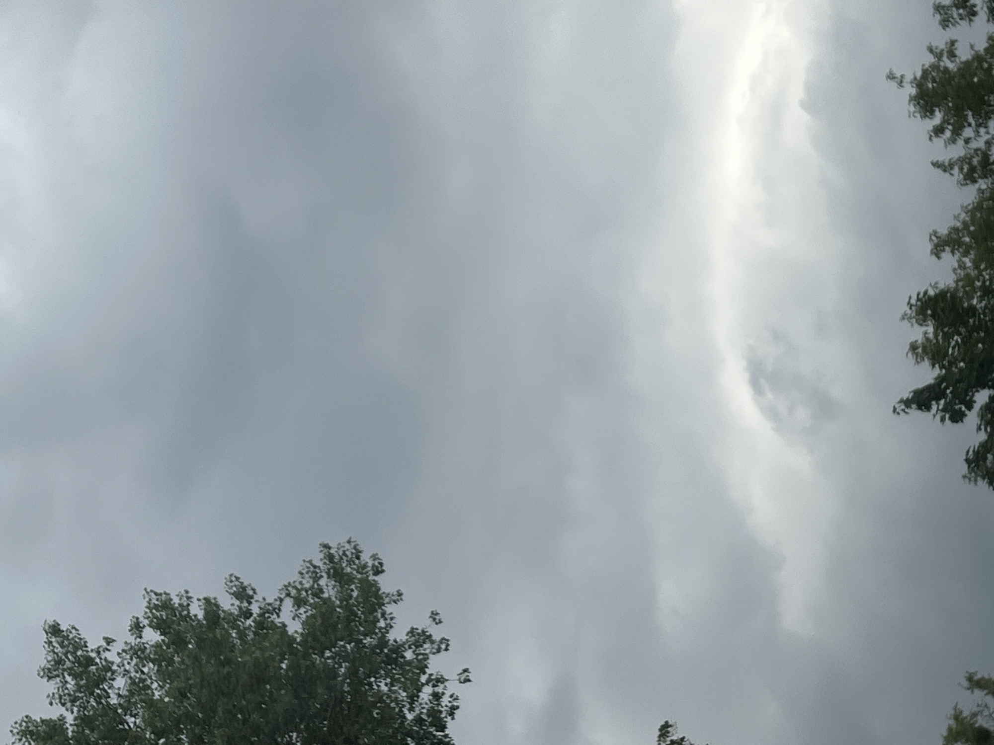 The image depicts a cloudy sky with the tops of trees visible in the lower portion and the left side. The clouds are predominantly gray, with some lighter areas suggesting a break in the overcast. The overall atmosphere is somber and overcast, typical of a day with impending or ongoing precipitation. No people, specific landmarks, or identifiable structures are visible, making it impossible to determine a precise location within Warsaw, Poland. The scene is devoid of any action or interaction, focusing solely on the natural environment.