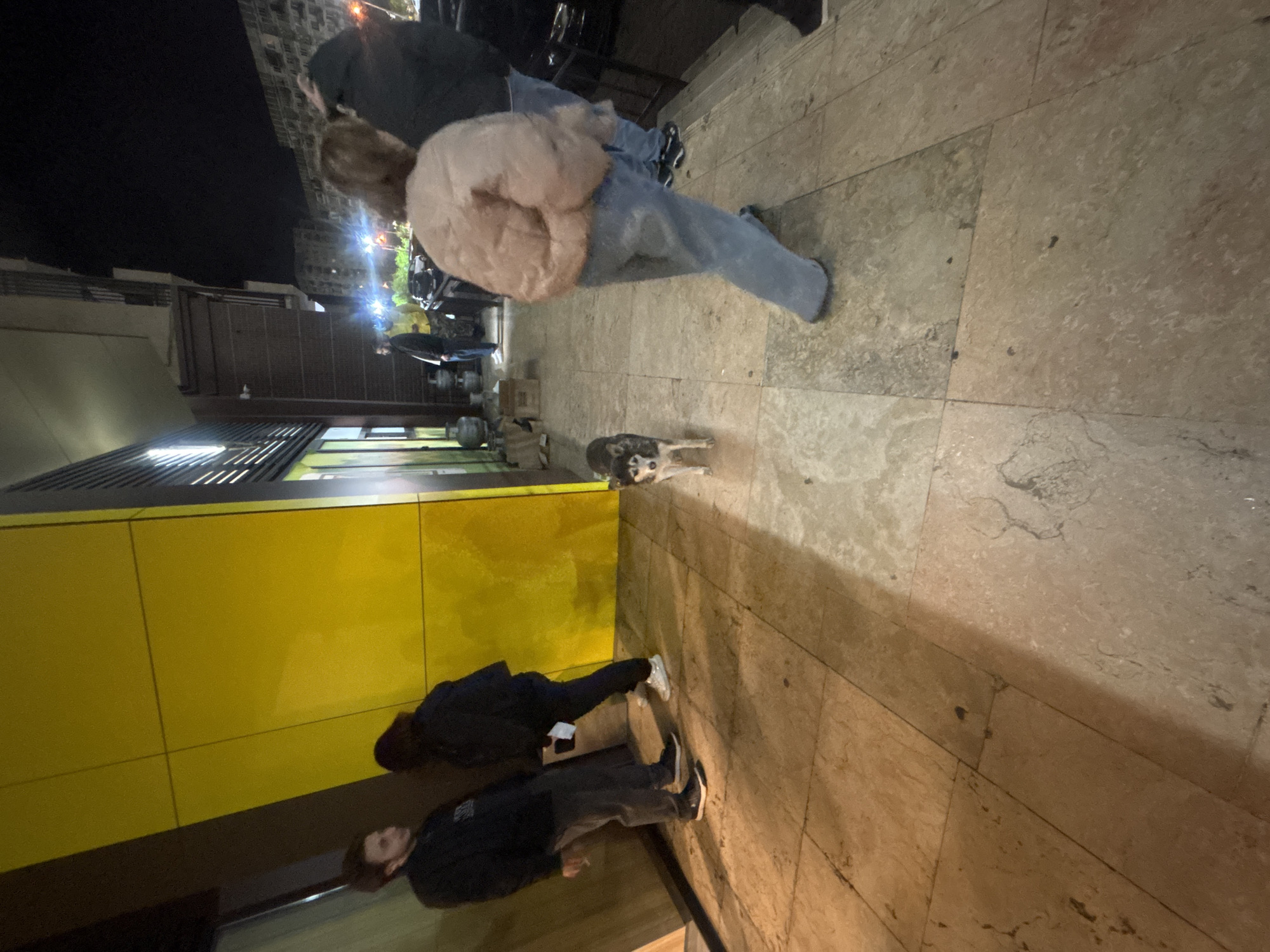 The image captures an outdoor scene at night in Tbilisi, Georgia. A yellow-paneled building anchors the left side of the frame. Two people are standing near the building, appearing to be looking at their phones. An adult person is standing with a dog, and there are multiple other people in the background. The pavement is made of large stone tiles.