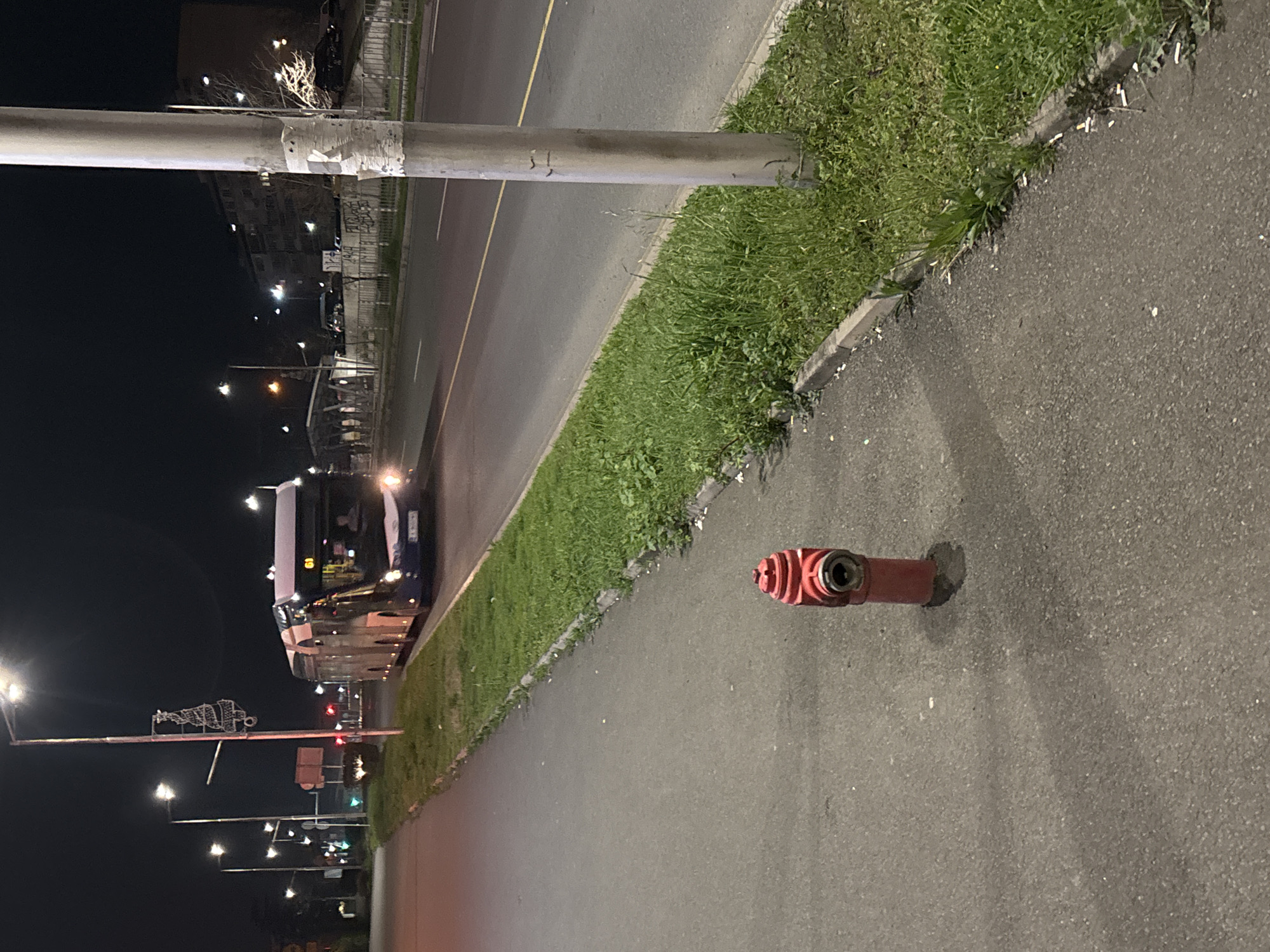 The image depicts a street scene at night. A bus is traveling along a multi-lane road with a central median. A red fire hydrant is located on the sidewalk adjacent to the road. A grassy strip separates the road from the sidewalk. Streetlights are visible in the background. Burgas, Bulgaria cannot be confirmed.