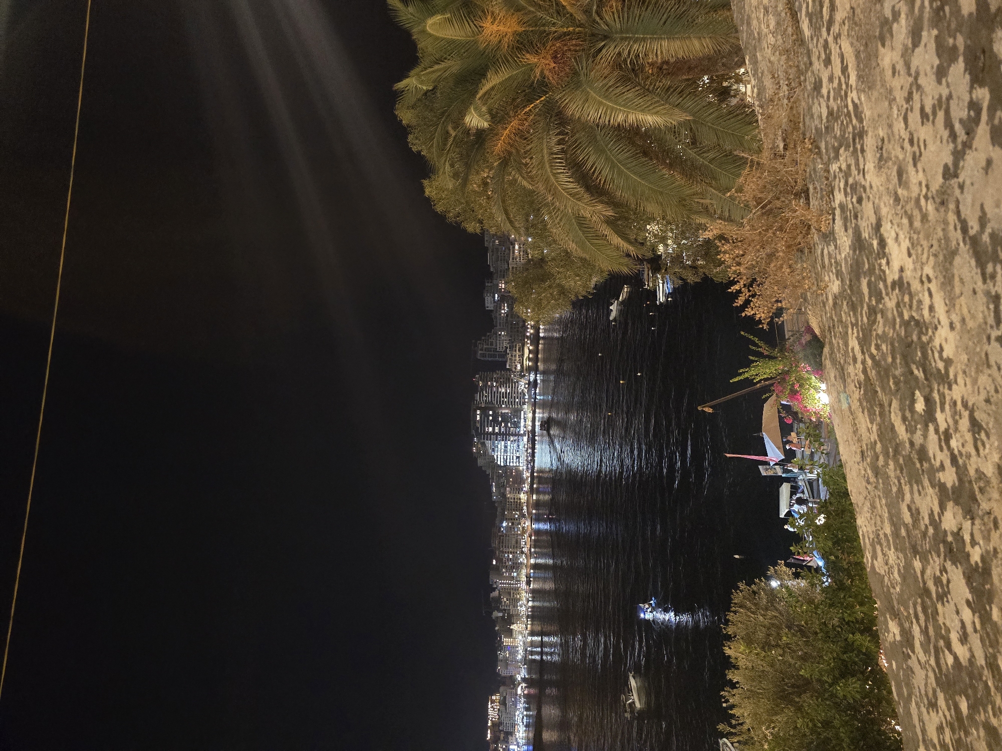This is a nighttime photograph of a waterfront scene in Valletta, Malta. The image is dominated by a dark sky with some faint light beams emanating from an unseen source on the right, and a thin yellow line stretching across the top. Below the sky is a body of dark water reflecting the lights of a city skyline. The city, in the distance, is illuminated by numerous buildings with a multitude of lit windows, creating a vibrant, twinkling effect. Several boats are visible on the water, including a small white boat and another with a light on, suggesting activity.
In the foreground, a textured stone wall or embankment occupies the bottom portion of the image. Overgrown vegetation, including a large palm tree on the right with its fronds visible, and bushes on the left, are present. There is also a small patch of dry, brown brush on the stone surface. On the far left of the waterfront, near the edge of the water, there are structures that appear to be part of a dock or promenade. Lights from what could be an umbrella or canopy, along with some people standing and possibly interacting near boats, are also discernible in this area. The overall impression is a lively waterfront at night, with the city lights providing a bright backdrop to the dark water and the foreground vegetation.