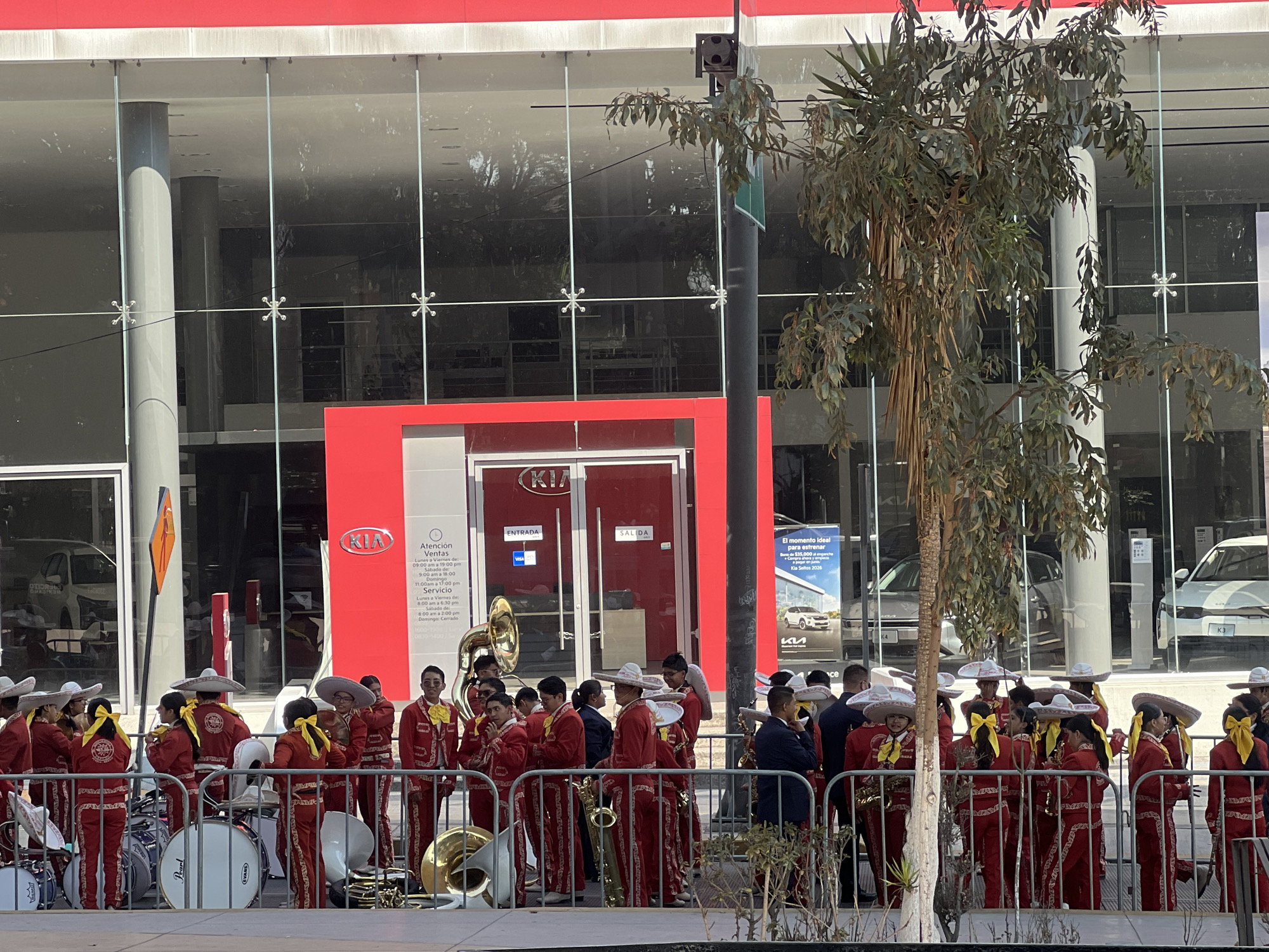 Here is a description of the image:
The image shows a mariachi band in front of a Kia dealership. The band is wearing red suits with white sombreros and yellow bows. They are behind a metal fence. The dealership is modern, with large glass windows and a red facade. The building contains the Kia logo. Text on the building is in Spanish. The location is somewhere with Latin cultural influence. Several cars are visible behind the mariachi band and through the glass windows. There is a tree in the foreground.