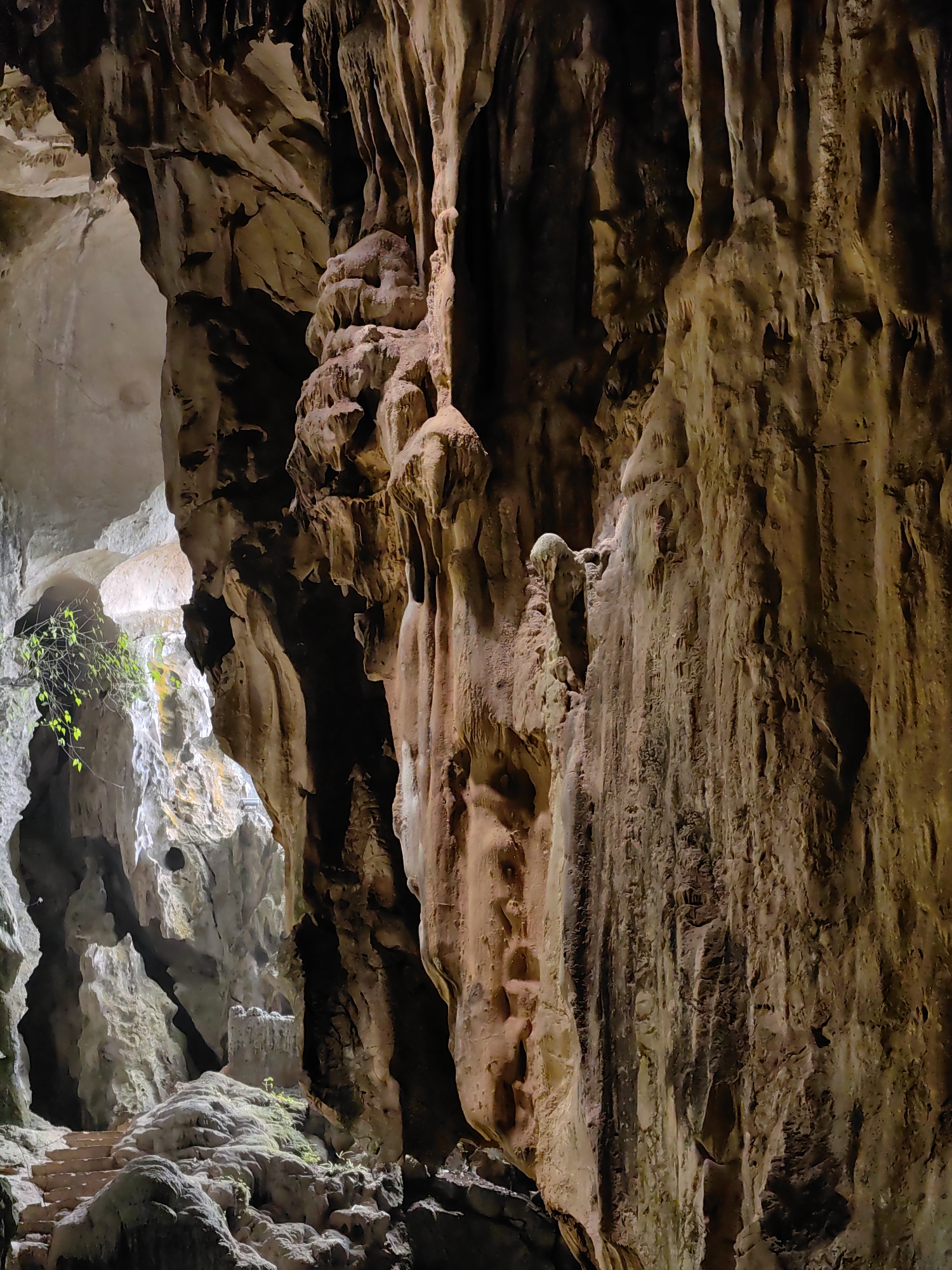 The image depicts the interior of Tam Thanh Cave, a part of the Tam Thanh Temple complex located in Lạng Sơn, Vietnam. The cave features large stalactites and stalagmites. The cave walls are rugged and showcase varying tones of brown and grey. Natural light enters through an opening, illuminating a section of the cave floor with a few steps and some green vegetation.