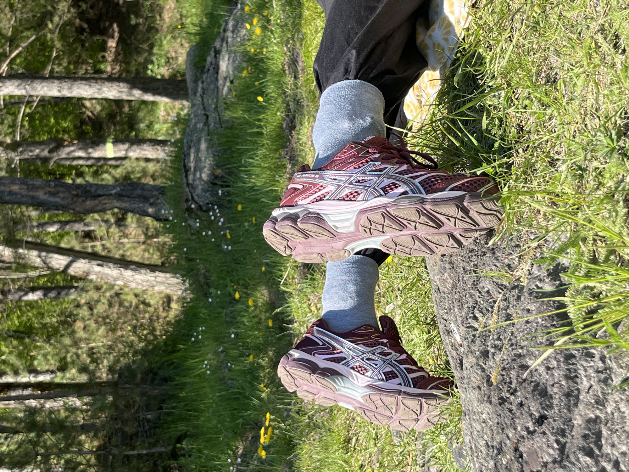 The image displays a close-up view of a person's lower legs and feet, resting outdoors in a natural, sunlit environment. The person wears black pants, light gray ribbed socks, and a pair of maroon and light pink/beige Asics running shoes. The shoes clearly show the "ASICS" logo and the model name "GEL-CUMULUS 16" on the side.
Their feet are propped up on a large, textured gray log or fallen tree trunk, which appears to be firmly settled on the ground. The ground is covered with vibrant green grass, interspersed with small white and yellow wildflowers, indicating a lush natural setting. In the background, numerous tree trunks and green foliage suggest a forest or woodland area. The strong sunlight casts clear shadows, indicating a bright day, likely morning or afternoon. The scene evokes a feeling of relaxation or a break from an outdoor activity in the scenic location of Слизнево, Russia.