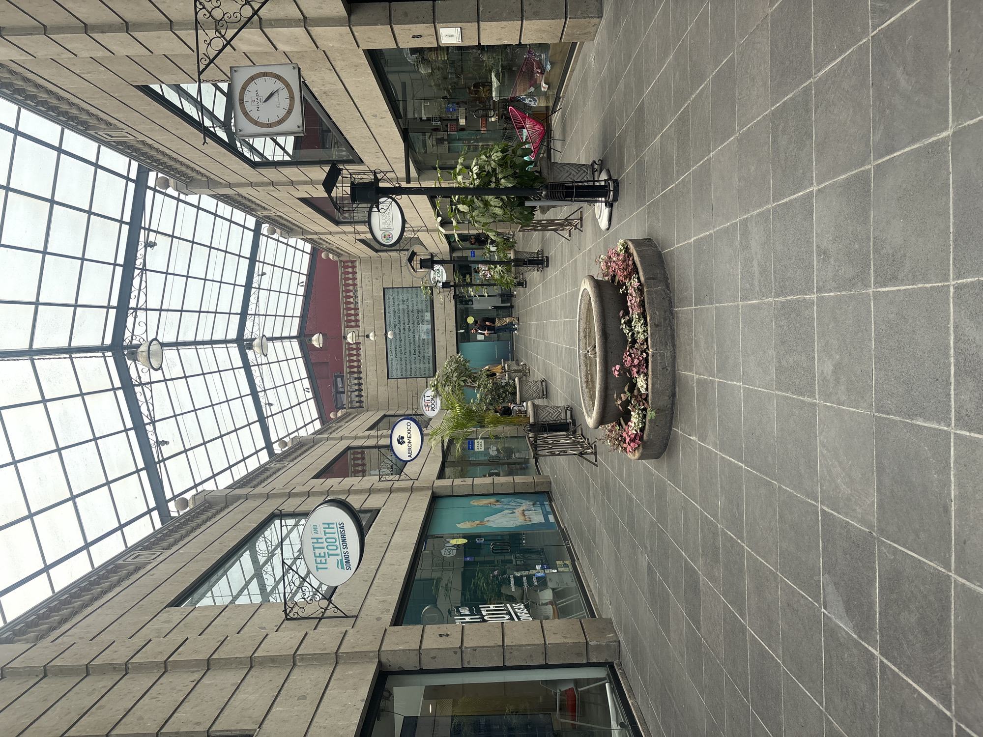 A daytime view captures an indoor or covered walkway in a commercial area, likely a shopping arcade, in Mexico City, Mexico. The perspective looks straight down the length of the passage, which is flanked by shops on both sides. The floor is paved with large, dark grey square tiles with light grout lines.
The buildings on either side are constructed with textured, light-colored stone-like blocks, giving them a sturdy, traditional appearance. A prominent feature of the setting is the glass ceiling or roof, composed of a grid of square panes, allowing natural light to illuminate the space. Hanging spherical light fixtures are suspended from the ceiling structure.
Several shop signs are visible along the walkway. On the left side, a circular sign reads "TEETH AND TOOTH SOMOS SONRISAS" (We are smiles), indicating a dental clinic. Further down, another circular sign displays "AEROMEXICO," and a rectangular sign states "FIT ROOM." On the right side, a square clock with Roman numerals hangs from an ornate metal bracket, showing the brand "NIVADA Swiss." Another circular sign further down reads "HOUSE OF TEA." Below the Aeromexico sign, a larger sign with smaller text mentions "Drs. Implantología, Cirugía Maxilofacial, Ortodoncia..." suggesting a specialist medical practice.
Decorative elements include large stone planters filled with green plants and small pink/purple flowers, one of which resembles a fountain basin. An individual in casual attire can be seen walking near one of the shop entrances on the right side of the walkway. The atmosphere appears calm and uncrowded, suggesting a leisurely environment for shopping or dining.