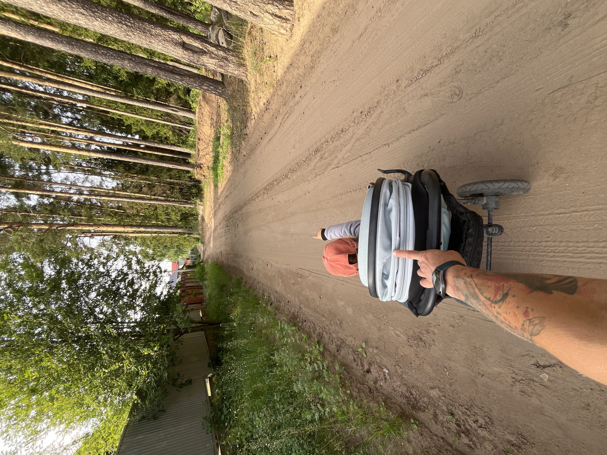 This media file shows a person's tattooed arm and hand pointing towards a baby stroller on a dirt road lined with trees. The scene is outdoors, with a clear sky suggesting it is daytime. The dirt road has tire tracks, indicating vehicle or stroller usage. To the left of the road, a dense forest of tall pine trees dominates the landscape. On the right side of the road, there are some houses and fences, suggesting a residential area or the outskirts of a village. The stroller appears to be light gray and black, with a small wheel visible. A child wearing a red cap is seated in the stroller, and the person's arm is reaching towards them. The overall mood appears casual and possibly recreational, with the person likely enjoying an outdoor activity with a child. The time of day is likely late morning or afternoon, judging by the sunlight. The location is identified as Chaikovsky, Russia. No visible text is present in the image.