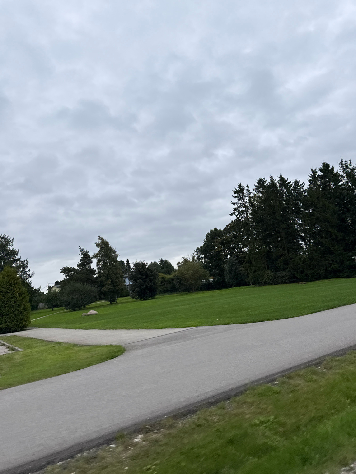 The image depicts a paved road that curves through a green grassy landscape under a cloudy sky. Tall, dark green evergreen trees dominate the background, forming a dense forest line. Some deciduous trees with sparse foliage are interspersed among the evergreens. The terrain appears to be slightly hilly, with a well-maintained lawn covering the slopes. A large, light-colored rock rests on the grass in the mid-ground. In the distance, hints of houses are visible nestled among the trees. The overall scene suggests a park or a residential area with significant natural landscaping. The location is identified as Peetri alevik, Estonia.