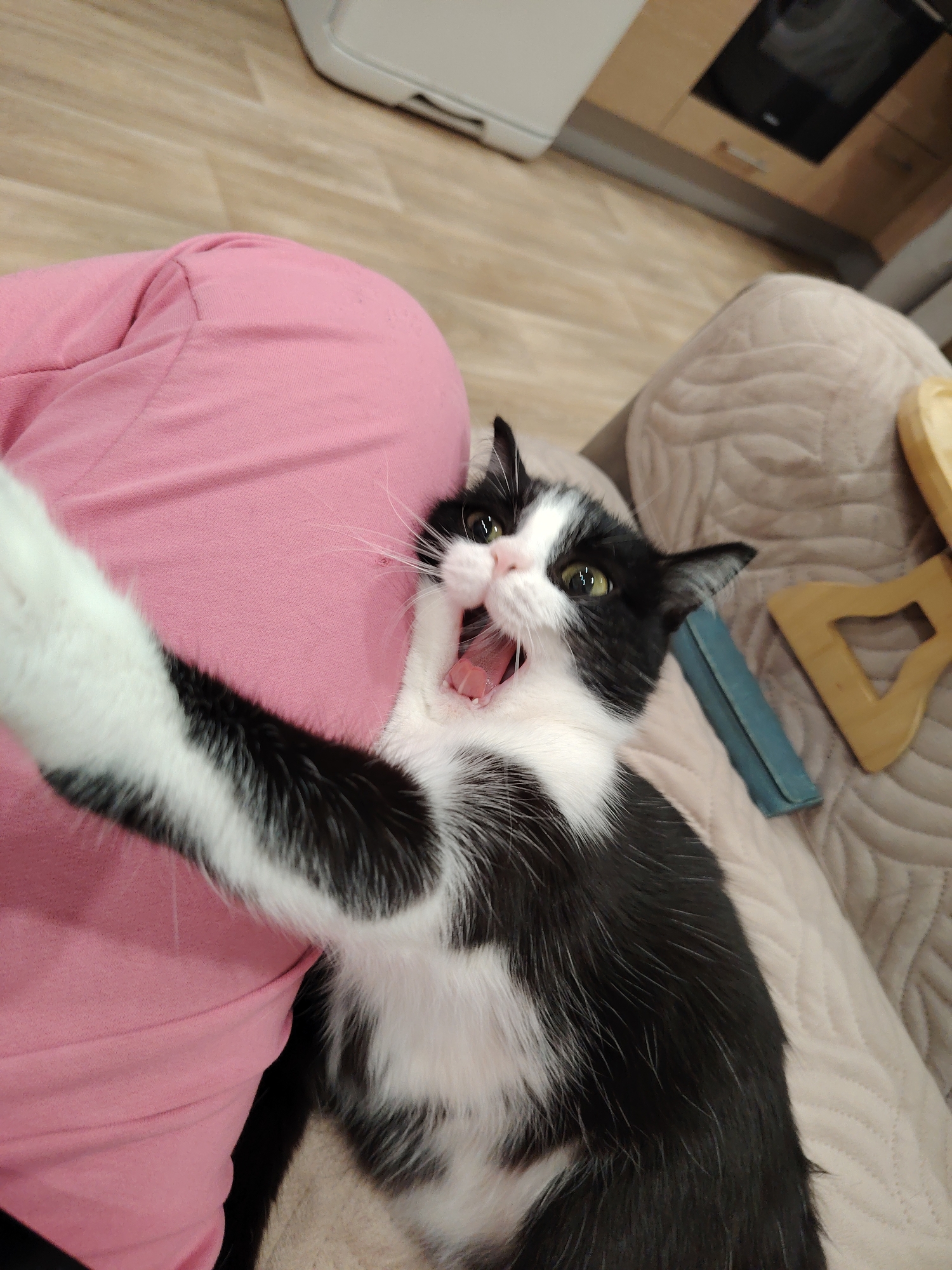 A black and white cat is on a beige quilted surface, possibly a couch or bed. The cat is lying on its back with its mouth open in what appears to be a yawn or a growl. One of its front paws is extended towards a person's leg, which is covered in pink clothing. The scene is indoors, with a wooden floor and kitchen appliances visible in the background. There are also some objects next to the cat on the beige surface, possibly a toy or a case.