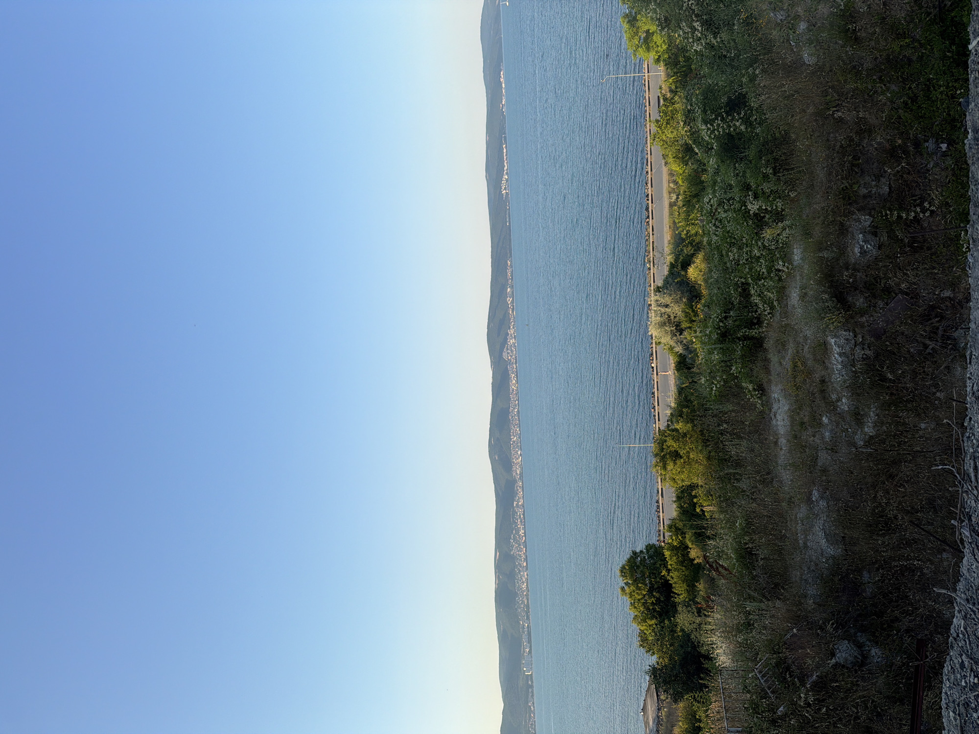 This image depicts a scenic view of the Black Sea coastline near Nesebar, Bulgaria. The composition is oriented vertically, with the sky occupying the left portion and the sea and land occupying the right. The sky is a clear, bright blue, indicating a sunny day.
The sea is calm and a deep blue, with gentle ripples on its surface. Along the coast, a long, narrow strip of land is visible, densely populated with buildings that appear to be part of a town or city. The buildings are small and clustered together, suggesting a historic or densely built urban area. A road runs parallel to the coastline, with a few cars visible, indicating a transportation route.
To the right of the road, the land rises sharply, covered in lush green vegetation, including trees and dense undergrowth. The foliage is varied, with some areas appearing more wild and untamed, while others seem more managed. The time of day appears to be late afternoon or early evening, judging by the warm, golden light casting long shadows. The overall atmosphere is serene and peaceful, conveying a sense of natural beauty combined with human habitation. There is no visible text in the image.
