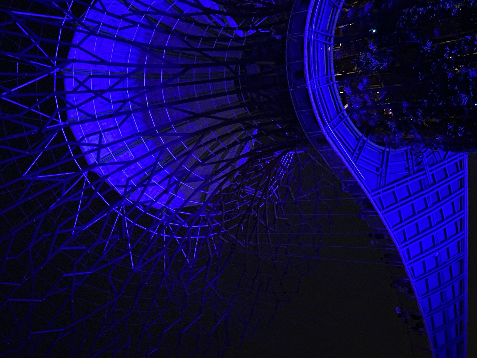 The image depicts the Supertree Grove at Gardens by the Bay in Singapore at night. The scene is dominated by a striking blue illumination that casts an ethereal glow on the complex lattice structures of the Supertrees. In the foreground, a curved walkway, also bathed in blue light, is visible. Several individuals are present on the walkway, appearing as silhouetted figures due to the low light conditions and the strong backlighting from the illumination. Some are standing, and some appear to be walking or observing the surroundings. The dark sky provides a stark contrast to the illuminated elements of the artificial forest. The vegetation within the grove is largely obscured by shadows and the intense blue light, with only hints of foliage visible. The overall impression is one of a futuristic and visually dynamic urban landscape at night.