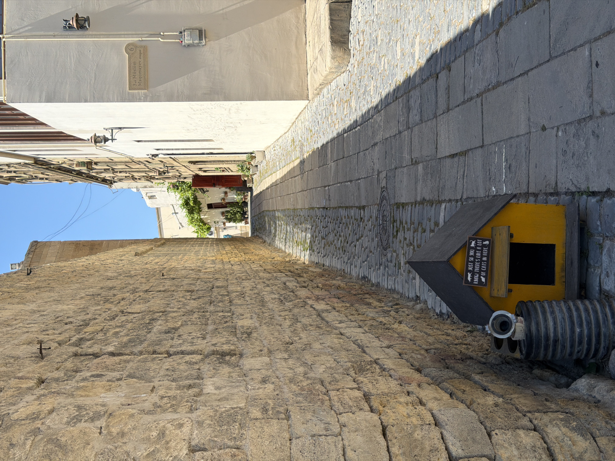 In the historic Old City (Icherisheher) of Sabail Raion, Azerbaijan, a narrow cobblestone alleyway is illuminated by the midday sun. A tall, textured stone wall dominates the left side of the frame, its rough-hewn blocks showing signs of age. On the right, a cream-colored building with architectural details like ornate lamps and a street sign for "M. Magomayev's avenue" stands. The street itself is paved with dark cobblestones, some sections appearing worn and uneven.
In the foreground, a small, bright yellow doghouse with a black roof is placed next to a stack of black industrial pipes. A sign on the doghouse reads, "JUST SO YOU KNOW THERE'S LIKE A LOT OF CATS IN HERE." This detail suggests the doghouse might be repurposed or humorously intended for cats. The scene is quiet, with no people or animals visible, emphasizing the architectural and historical ambiance of the location. The sky above is a clear, vibrant blue, indicative of a fair-weather day.