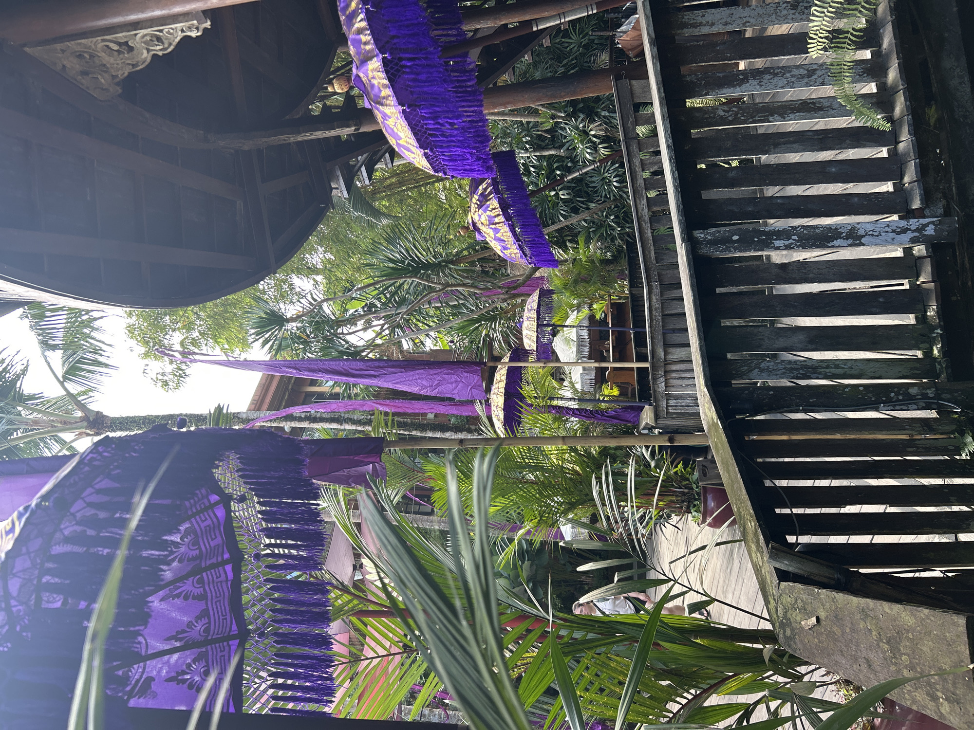 The image captures an outdoor scene with a strong emphasis on decorative elements and lush greenery, likely in a tropical setting. Several large, purple, ornate umbrellas with fringe are prominently featured, suggesting a festive or culturally significant location. Some are open, while others appear to be partially closed or draped. Tall palm trees and other dense foliage surround the scene, creating a tropical ambiance. A wooden pathway and railings are visible, adding to the naturalistic and possibly rustic feel of the environment. In the background, a glimpse of a building with a dark wooden roof structure can be seen. A person, appearing to be female, is walking away from the camera on the wooden path, wearing a light-colored top and dark shorts, carrying a backpack. The overall impression is of a well-decorated, outdoor space within a verdant environment, possibly a resort, temple, or cultural center in a place like Ubud District, Indonesia, known for its rich cultural heritage and tropical landscapes.
