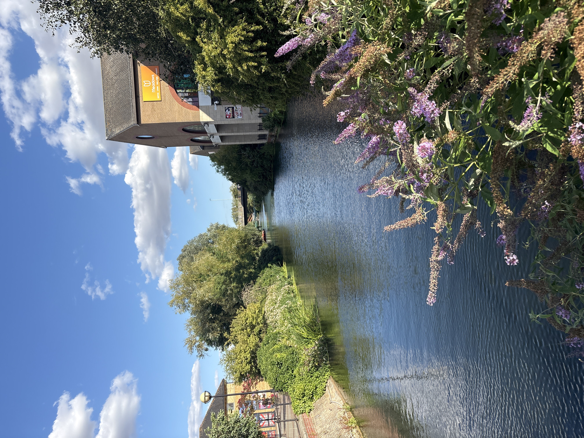 The image depicts a scenic view of the River Chelmer in Chelmsford, United Kingdom, on a sunny day with scattered clouds. In the foreground, a cluster of purple butterfly bush flowers is in bloom along the riverbank, with their delicate petals catching the sunlight. The river itself is a deep blue, reflecting the clear sky and the surrounding lush greenery.
On the right side of the river, a modern brick building stands tall, its facade adorned with arched windows and a prominent orange sign that reads "Meadows" with the tagline "Supermarket | Leisure | Food & Drink | Community." The building appears to be a commercial establishment, possibly a supermarket or a community center, given the signage.
On the left side of the river, the riverbank is lined with a stone wall and an iron fence. Beyond the fence, there are trees and buildings, including a lamppost with a round yellow lamp. A street is visible in the background, with cars and shops. Further down the river, a bridge spans across the water, with a red boat tied to its side.
The overall scene is tranquil and picturesque, showcasing the natural beauty of Chelmsford alongside its urban landscape. The sun casts a warm glow on the surroundings, enhancing the vibrant colors of the flowers and the clear blue of the sky.