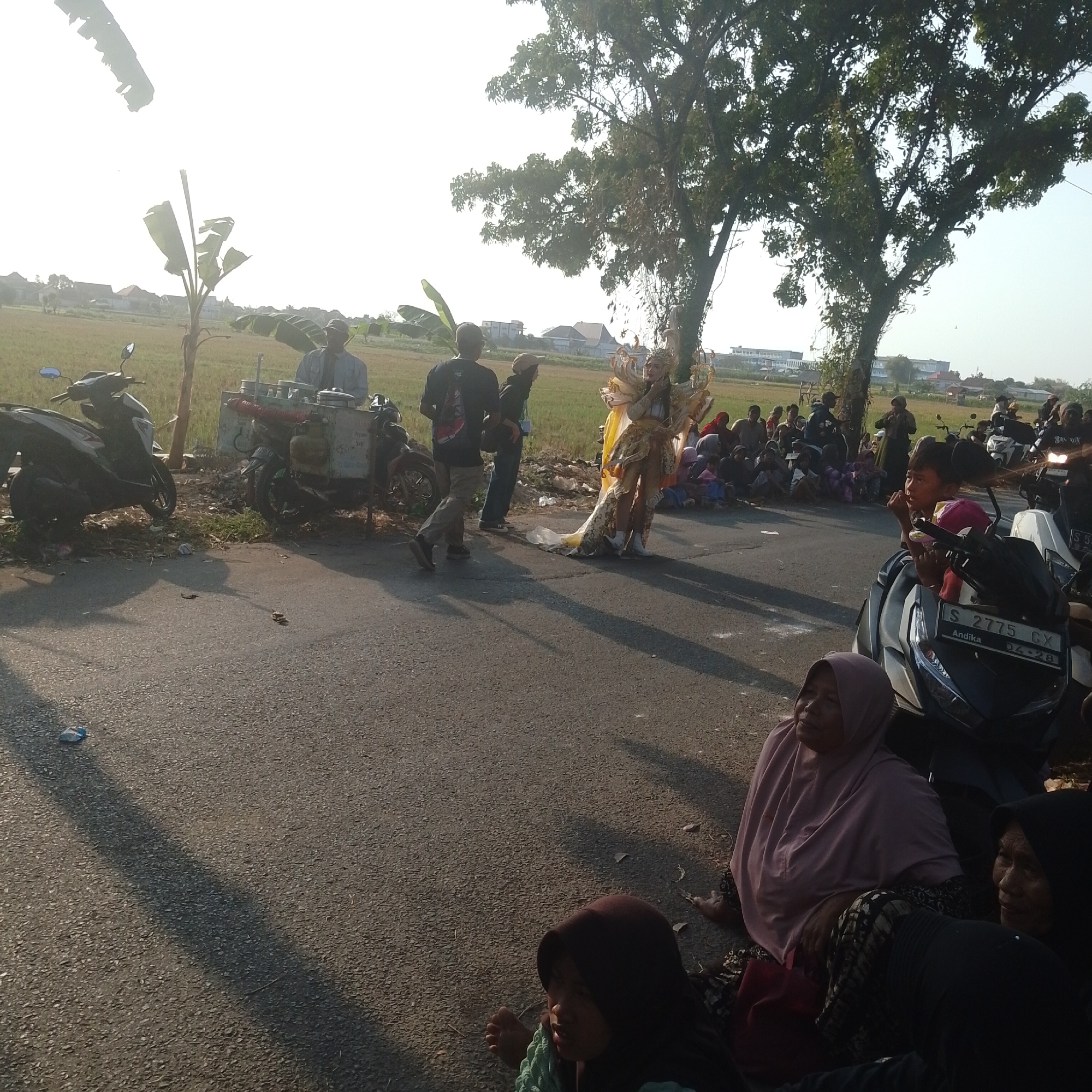 In Palang, Indonesia, a group of people are gathered on the side of a paved road, likely observing an event. The scene is set against a backdrop of a rural landscape with rice paddies and scattered buildings. In the foreground, several motorcycles are parked.
A person in an elaborate golden costume, possibly participating in a parade or performance, stands prominently on the road, drawing attention. Around them, a crowd of onlookers, including women and children, are seated or standing, some appearing to be engaged with the spectacle. Other individuals are seen standing near a food cart, suggesting a festive or community gathering.
The atmosphere appears to be daytime, with the sun casting long shadows, indicating either early morning or late afternoon light. The overall impression is a snapshot of a local cultural event taking place in a semi-urban or rural Indonesian setting.
