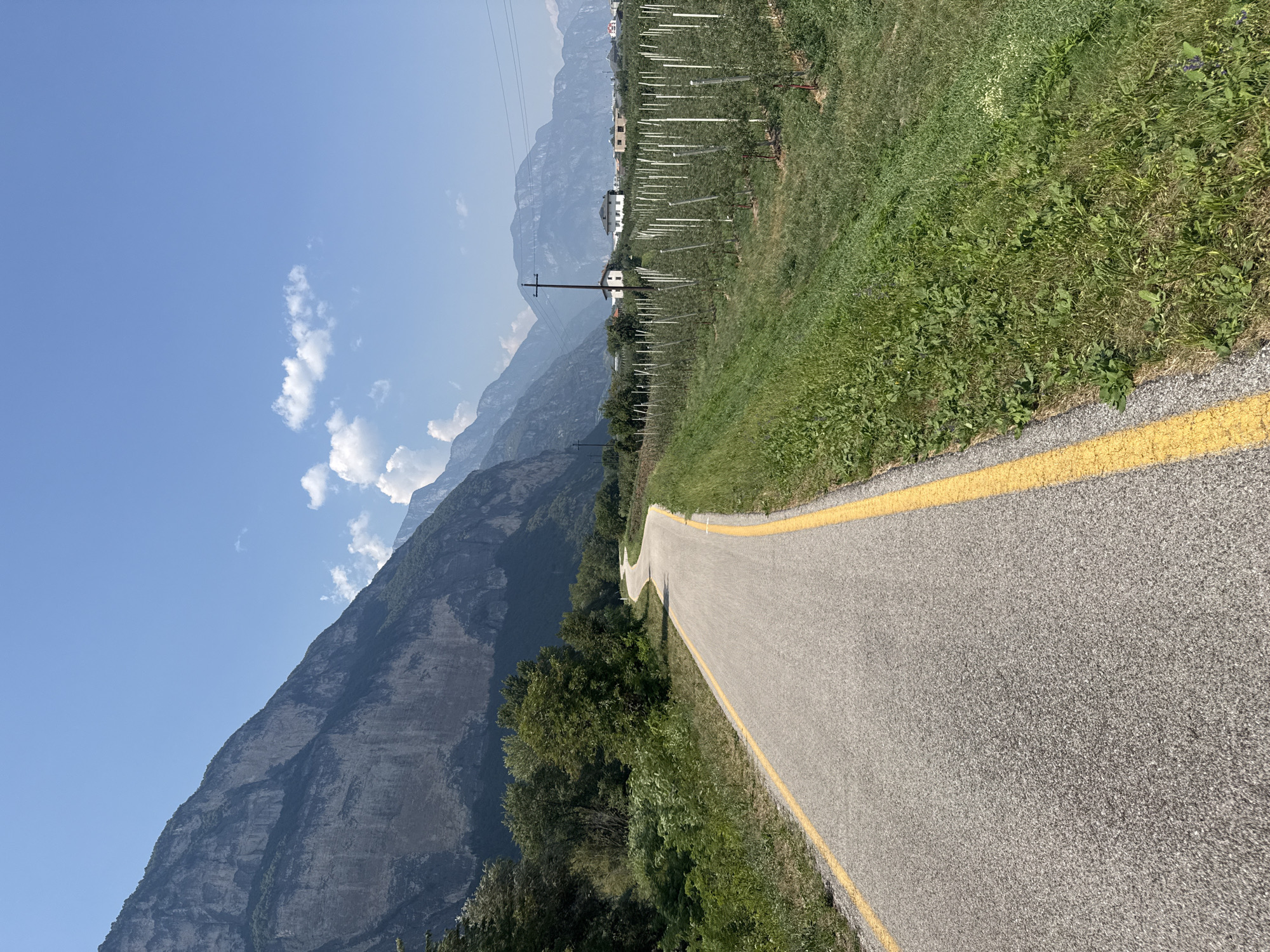 The image depicts a paved road with yellow dividing lines curving through a rural landscape. To the left of the road, a dense area of trees and vegetation rises, forming a hillside. In the background, a large, imposing mountain range dominates the horizon, with steep, rocky cliffs. To the right of the road, a cultivated field, possibly an orchard with young trees supported by stakes, stretches into the distance. Several buildings, including houses and what appear to be farm structures, are visible scattered among the fields and trees in the middle ground, with more distant mountain peaks forming the backdrop. The sky is a clear, bright blue with a few scattered white clouds. The scene is brightly lit by sunlight, suggesting a daytime setting. There are no people or animals visible in the image. The overall environment suggests a location near the foothills of the Alps, consistent with the geographical context of Trento, Italy.