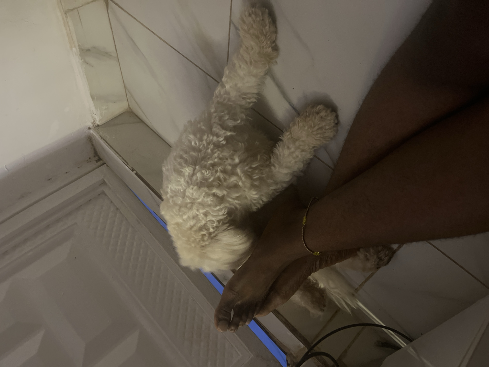 The image depicts a close-up view of a person's legs and feet, with a small, light-colored, curly-haired dog interacting with them. The person's legs are crossed, and their feet are positioned near the dog, which appears to be sniffing or nuzzling the person's leg. The dog has fluffy fur and is lying down on a tiled floor. The environment suggests an indoor setting, likely a home, with tiled flooring and what appears to be a doorway or partition in the background. The lighting is dim, casting shadows that add to the intimate and relaxed atmosphere of the scene. There is a thin beaded bracelet on the person's ankle. The scene is consistent with a domestic setting in a residential area within the city of Abuja, Nigeria, where such interactions between pets and their owners are common.