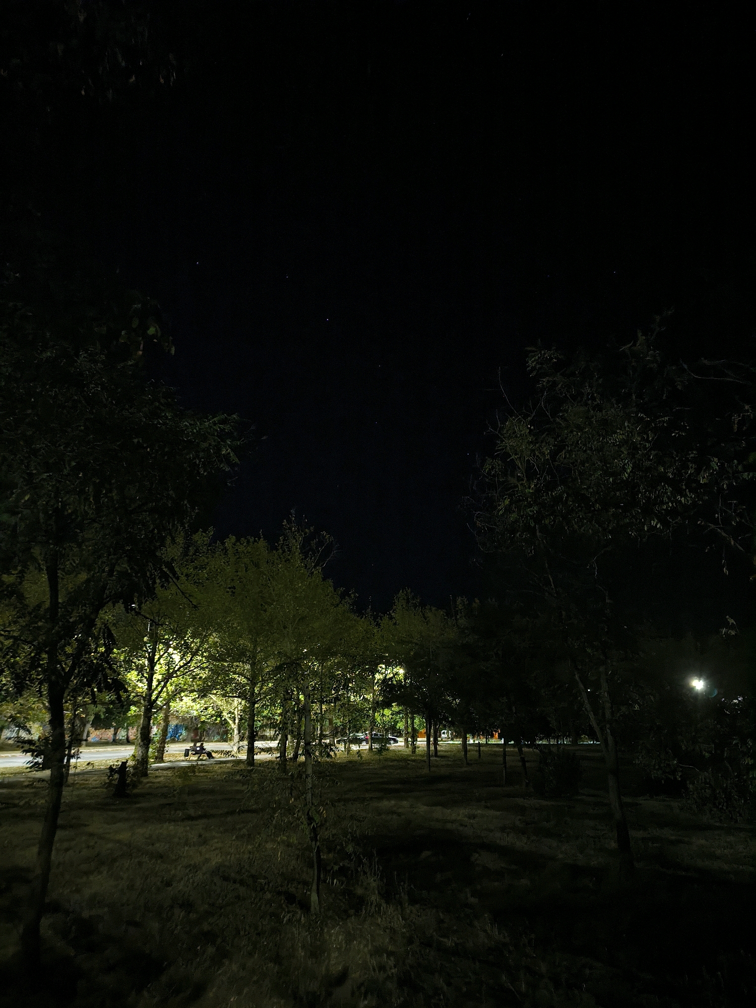 The image depicts an outdoor park scene at night in Mykolaiv, Ukraine. A dense arrangement of trees, some illuminated by artificial light, forms a significant portion of the frame. The ground is covered in grass and shadows. In the background, beyond the trees, a road is visible with passing vehicles and streetlights. A few distant stars are faintly visible in the dark sky above. The overall atmosphere is quiet and still, characteristic of a nighttime urban park.