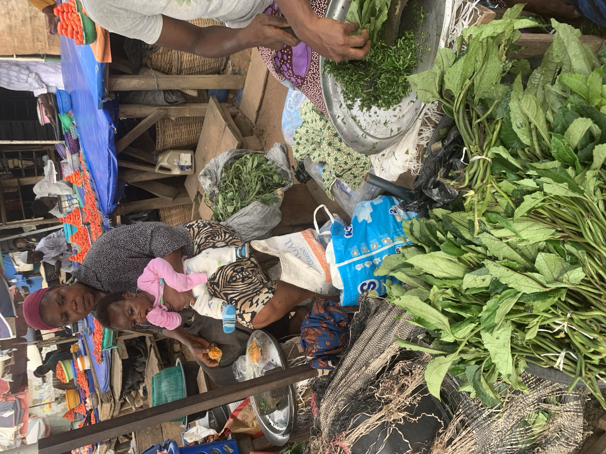 The image captures a bustling market scene, likely in Shagamu, Nigeria. The primary subjects are two people and a baby. A woman, wearing a dark patterned top and a red headwrap, is holding a baby dressed in a pink outfit. The baby appears to be looking at something off-camera. The woman is also holding a piece of food, possibly a snack, in her hand.
In the background, other market activities are visible. Baskets, a blue tarp, and wooden structures suggest a traditional open-air market. Several bunches of green leafy vegetables are prominent, some tied with white string. In the middle of the image, a woman with a purple and white patterned cloth is seen preparing more leafy greens, chopping them into smaller pieces on a metal tray. There are also bags and other assorted market goods scattered around.
The scene appears to be outdoors, with natural light indicating it is likely daytime. The overall atmosphere is one of everyday commerce. The presence of fresh produce suggests a focus on food and daily necessities. The specific location cues, such as the type of produce and the market setup, strongly point to a Nigerian context. No specific time of day or weather conditions are explicitly evident, but the activity suggests it is during operating hours for the market. There is no discernible text in the image that provides further clues.
