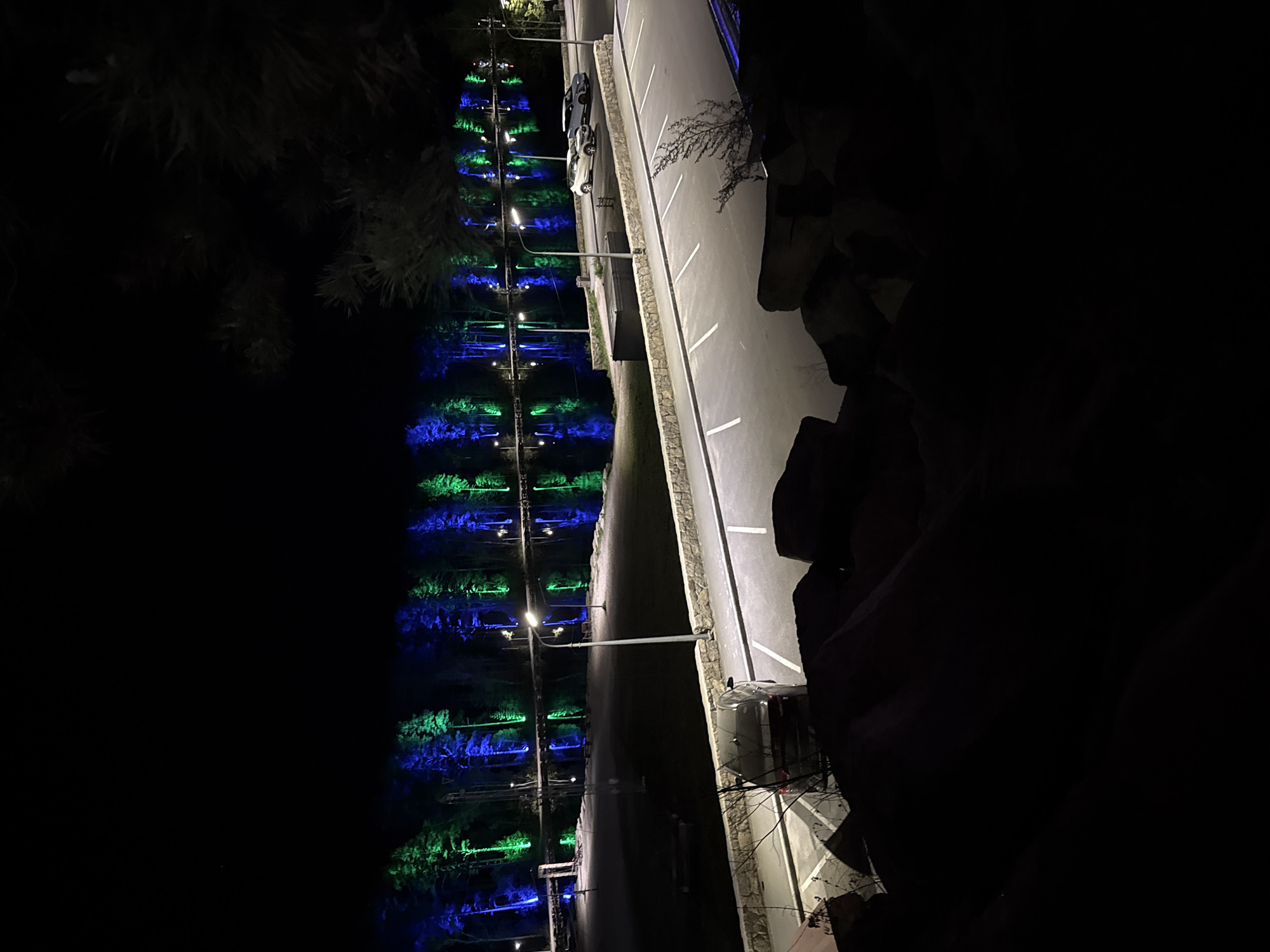 This image depicts a night scene along a road in Dom Otdykha Zolotoy Plyazh, Russia. The road runs horizontally across the frame and has marked parking spaces. Streetlights illuminate the road. A row of trees lines one side of the road, alternatingly illuminated with blue and green lights. A dark, undefined object is present on the right side of the frame. Cars are parked in some of the parking spaces along the road. The area on the left of the frame is dark and partially obscured by foliage.