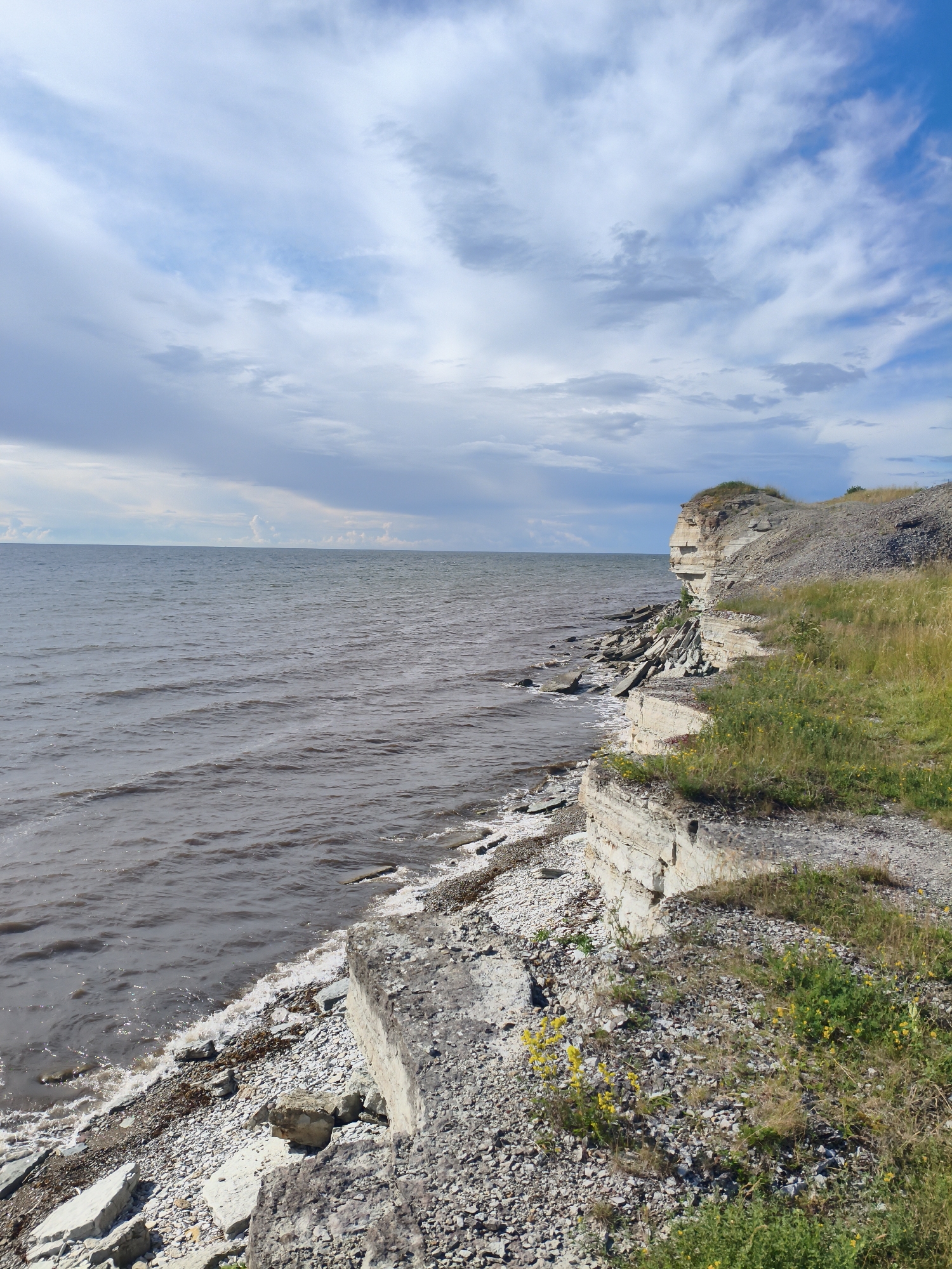A rocky cliff overlooks a dark, choppy sea under a cloudy sky in Paldiski, Estonia. The cliff face is layered with pale rock, interspersed with patches of green grass and yellow wildflowers. The sea meets the shore with small waves crashing against a beach composed of pebbles and larger rocks. In the distance, the horizon is a faint line where the sea meets the sky, obscured by clouds. No people or animals are visible in the scene. The overall impression is one of natural, rugged coastal beauty.