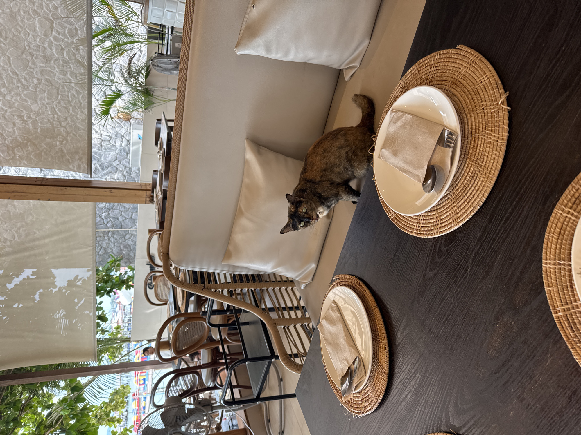 Scene inside a restaurant in Baan Bang Rak, Thailand. A table setting with woven placemats and plates is in focus. A brown and black cat is sitting on a cushioned bench next to the table. Outside the restaurant are trees, a beach, and several people.