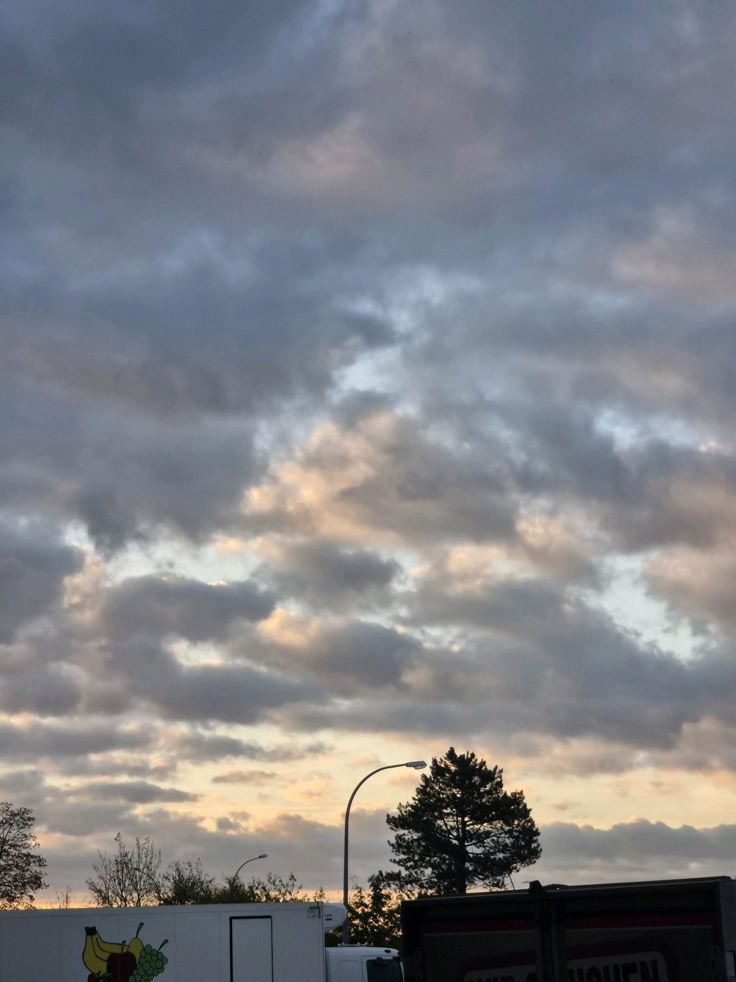 A dark silhouette of a coniferous tree stands against a cloudy sky at dusk, with soft, pale yellow and pink hues filtering through the grey and blue clouds. A streetlight with a curved arm is visible to the right of the tree. In the lower portion of the image, the top of a white truck with a colorful fruit illustration (bananas, apples, grapes) is partially visible. Another dark-colored truck with red and white lettering is to the right of the tree. The scene suggests an outdoor setting, possibly a roadside or parking area, in Leudelange, Luxembourg, during twilight.