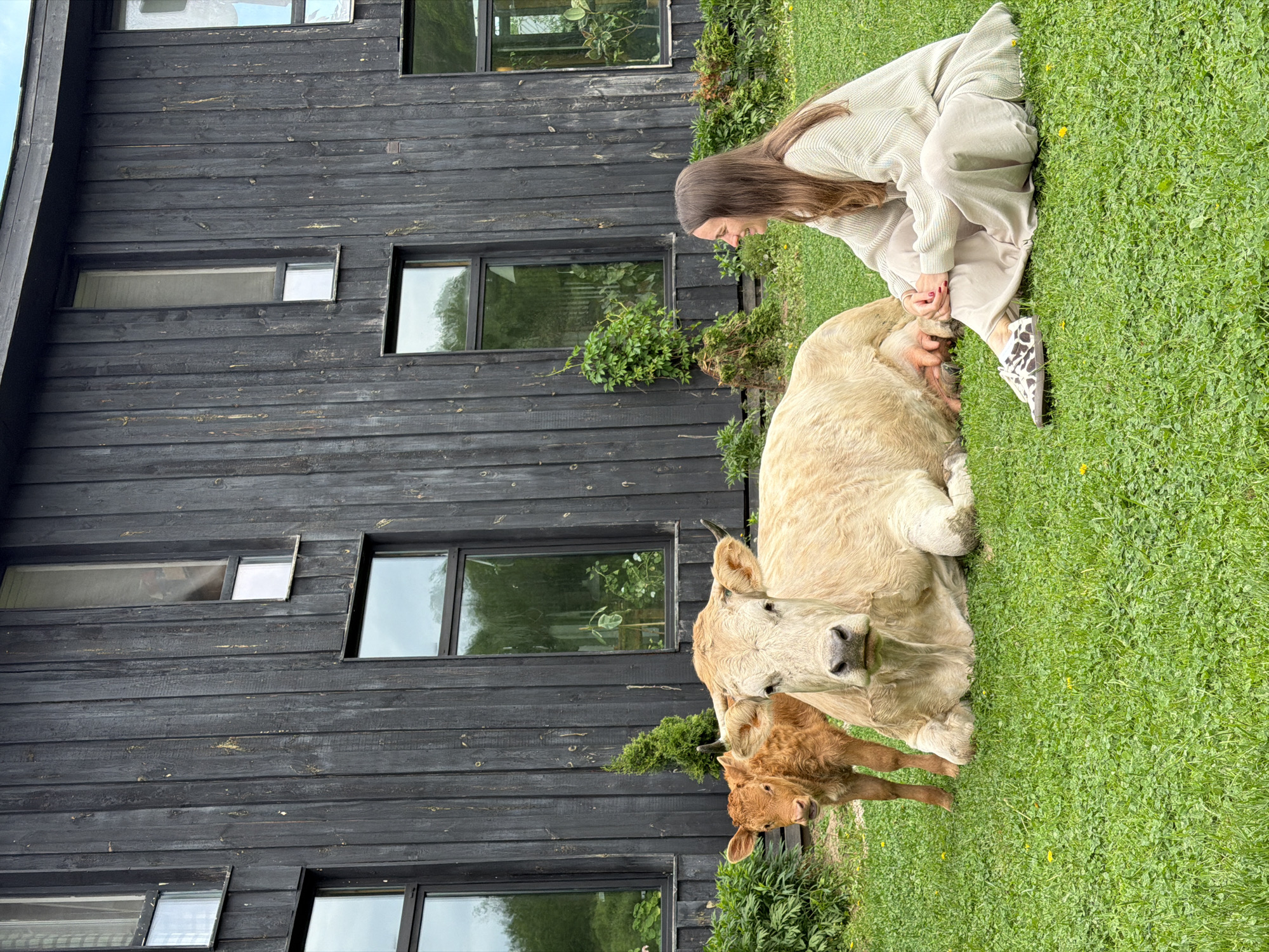 A woman with long brown hair, wearing a light-colored sweater and pants, is crouching beside a reclining, light beige cow in a grassy area. A smaller, reddish-brown calf stands near the cow. Behind them is a dark, wooden building with multiple windows. The image is taken outdoors in daylight. The location is Prudki, Russia.