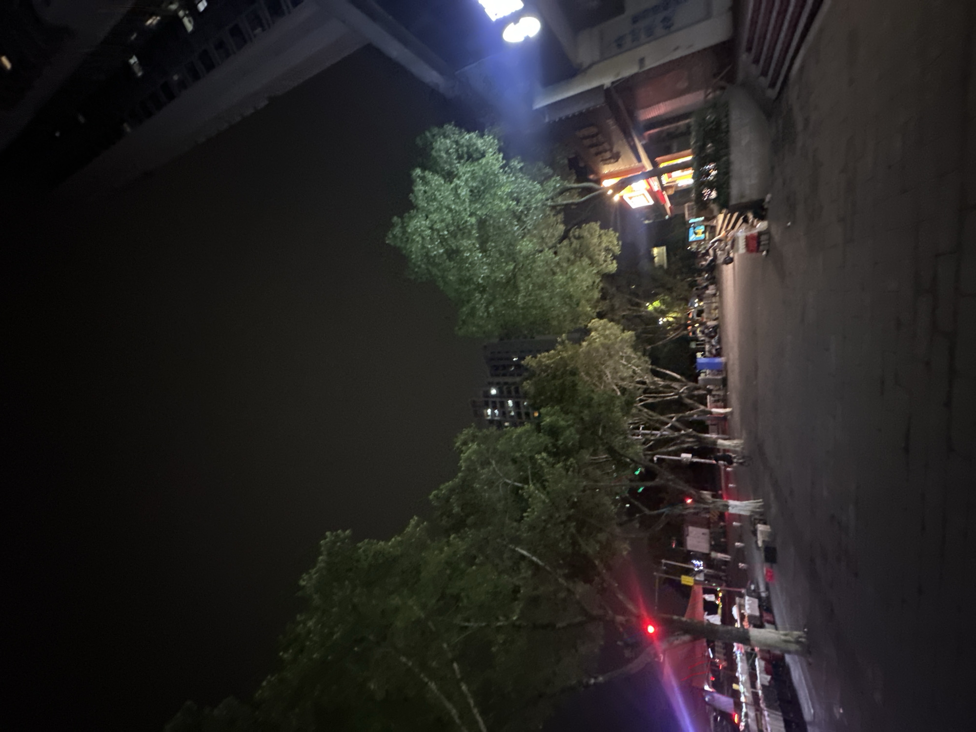 The image depicts a nighttime scene in the Chongqing High-tech Zone, China. A row of trees lines a street, their foliage partially obscuring the view of buildings in the background. The buildings appear to be a mix of residential and commercial structures, illuminated by streetlights and building lights. A dark expanse, possibly a body of water, is visible on the left side of the image. The street is paved and appears to be illuminated by lights. Pedestrians and some vendors can be seen on the road.